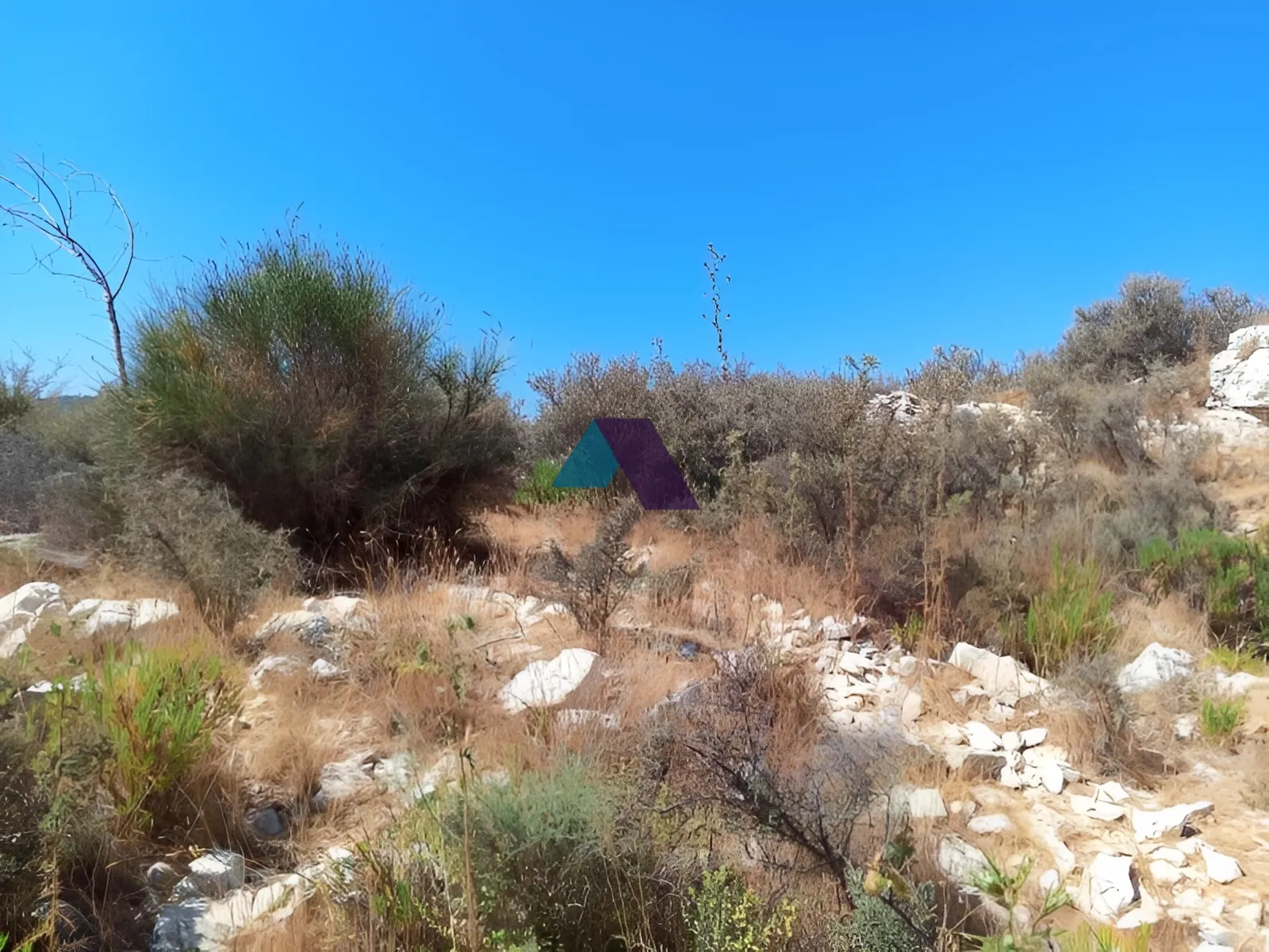 Land for Sale in Batroun
