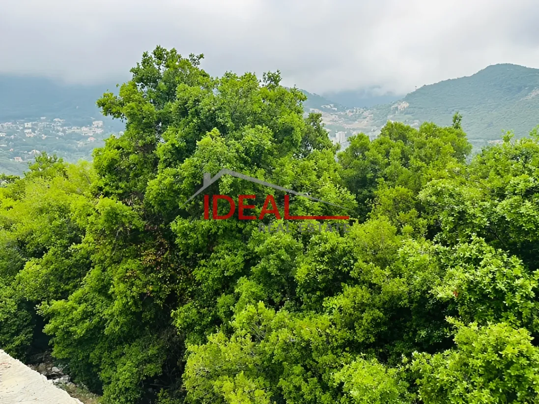 Residential Land for sale in Kfour, Lebanon