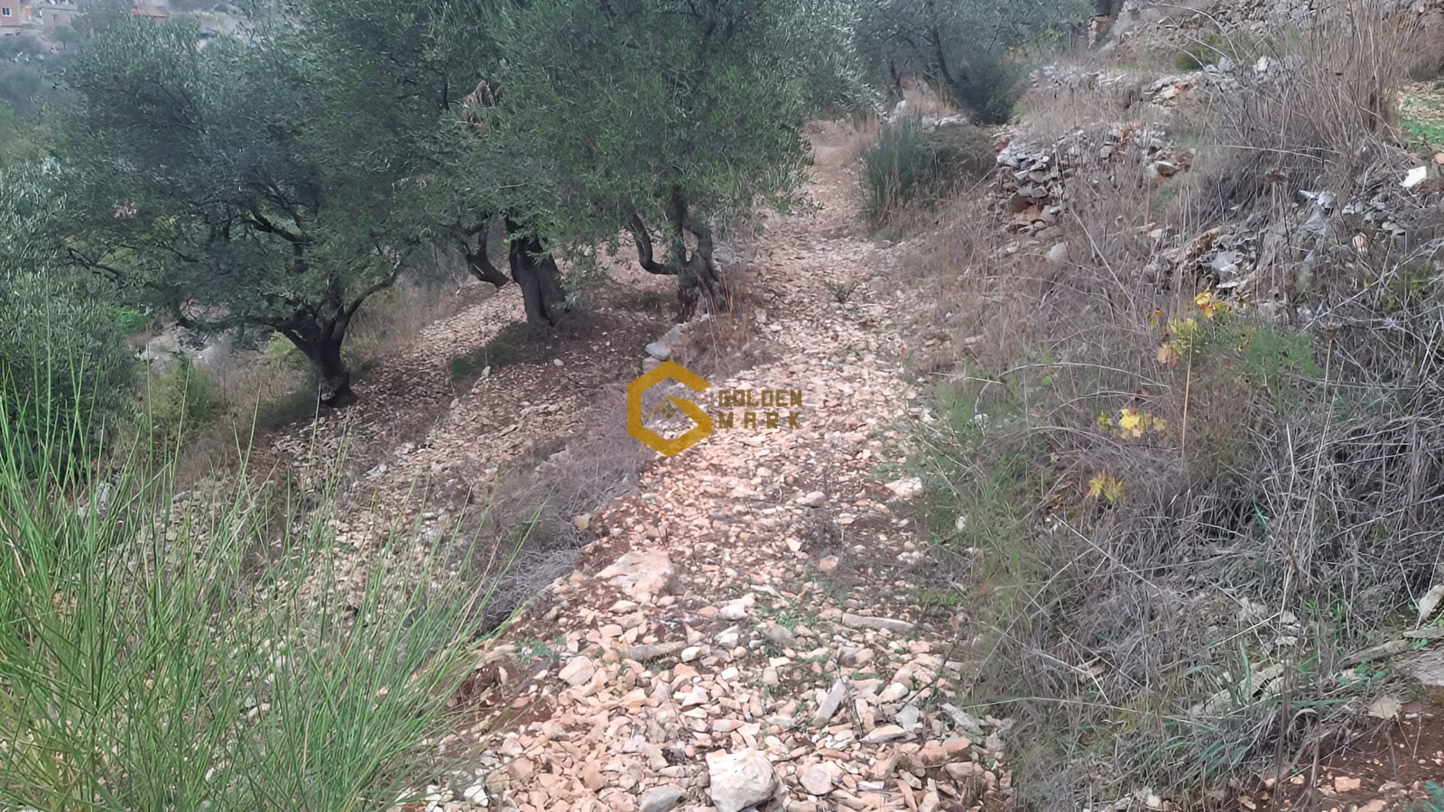 Land for Sale in Koura