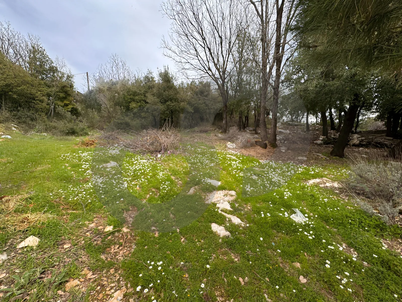 Land for Sale in Aannaya