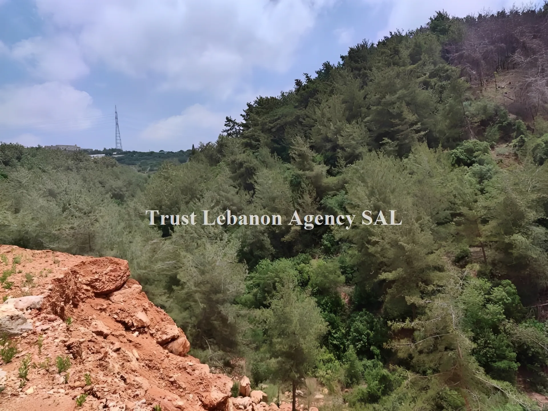 Land for Sale in Chouf Debbieh Lebanon