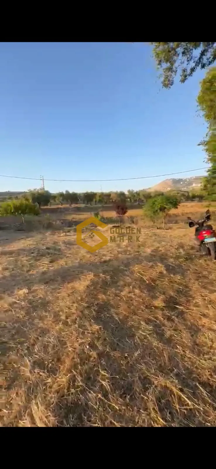 Land for Sale in Bziza