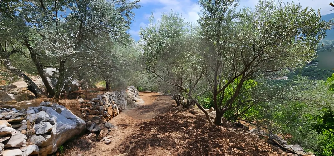 Land for Sale in Byblos