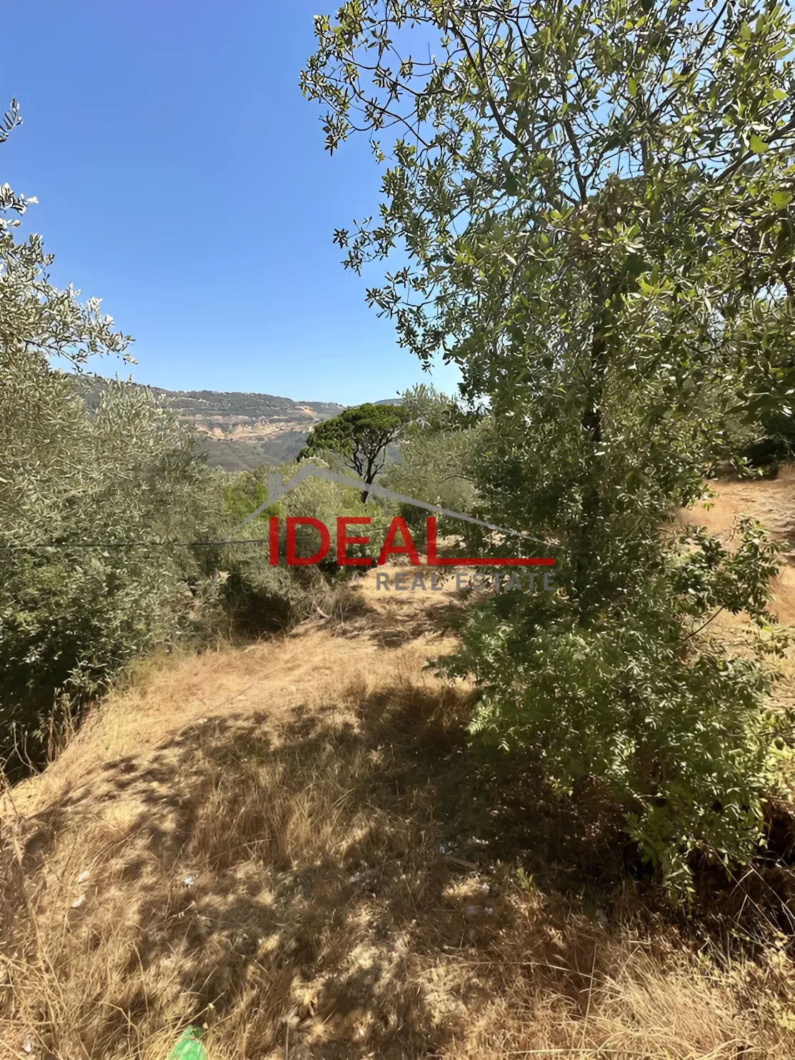 Land for Sale in Dmit, Lebanon