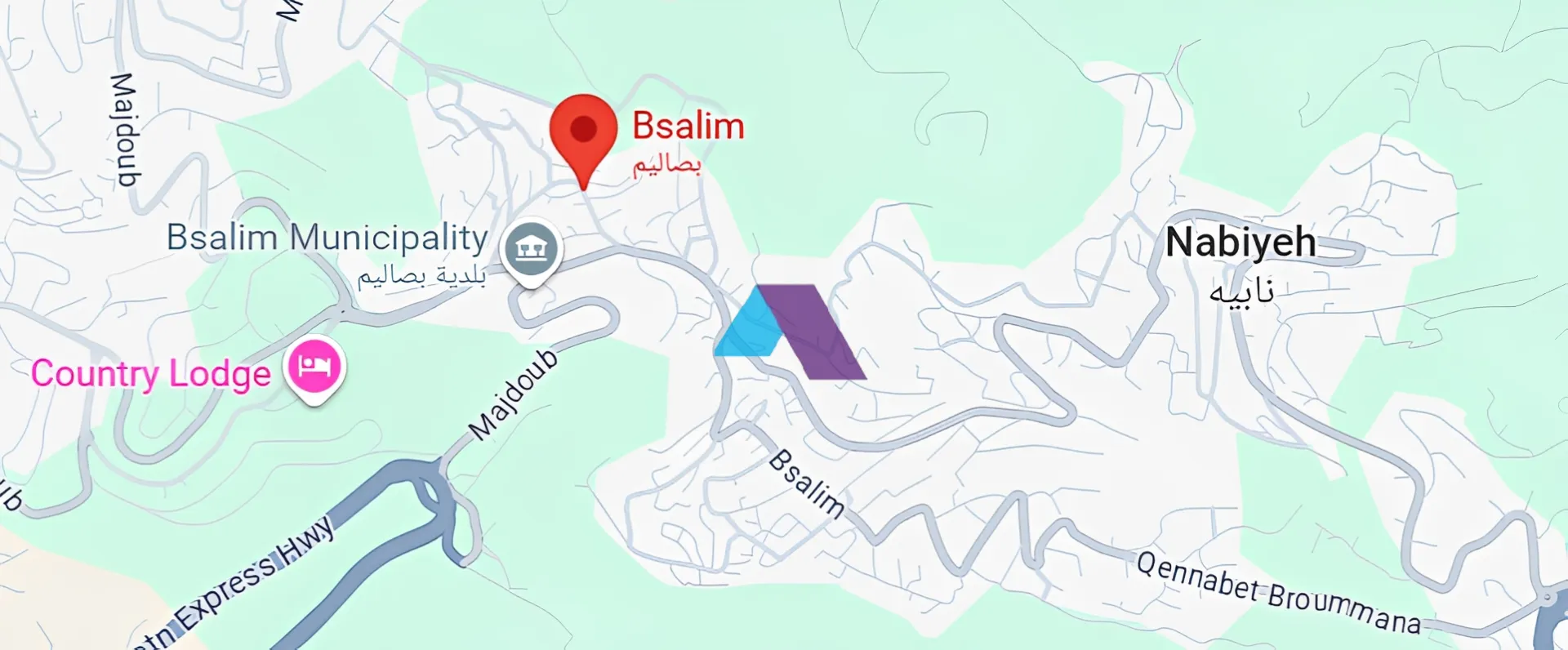 Land for Sale in Bsalim