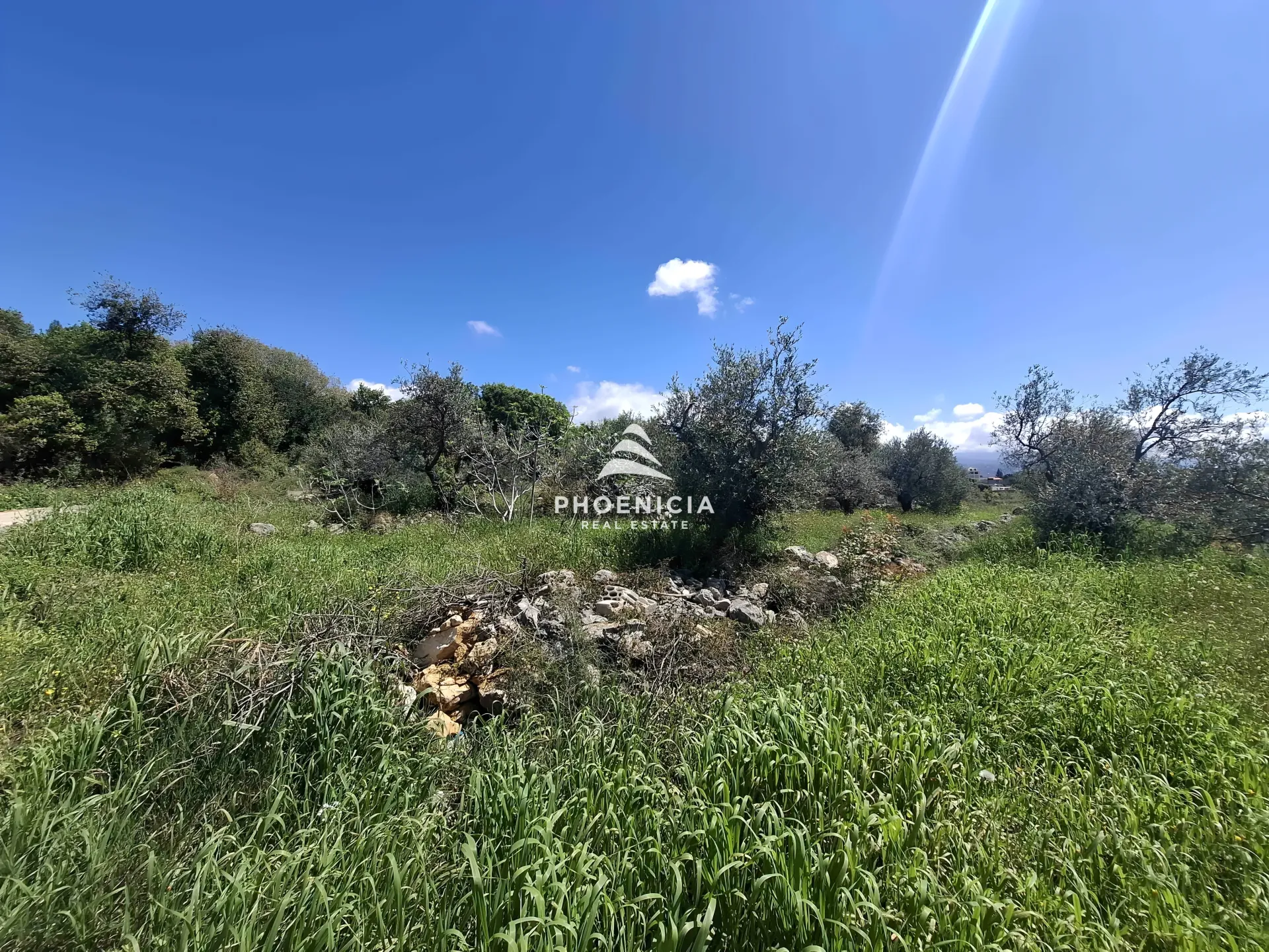 Land for Sale in Monsef