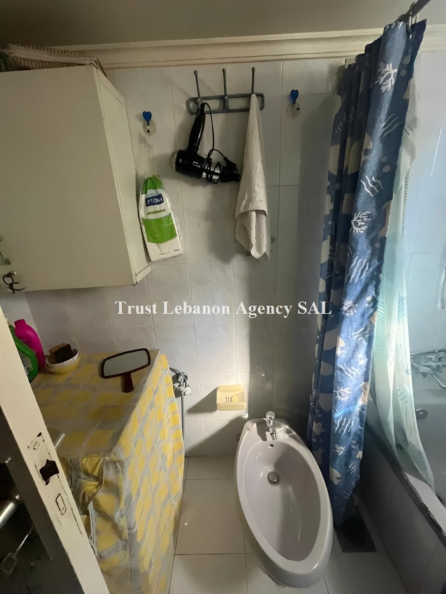 Apartment for Sale in Metn Antelias Lebanon