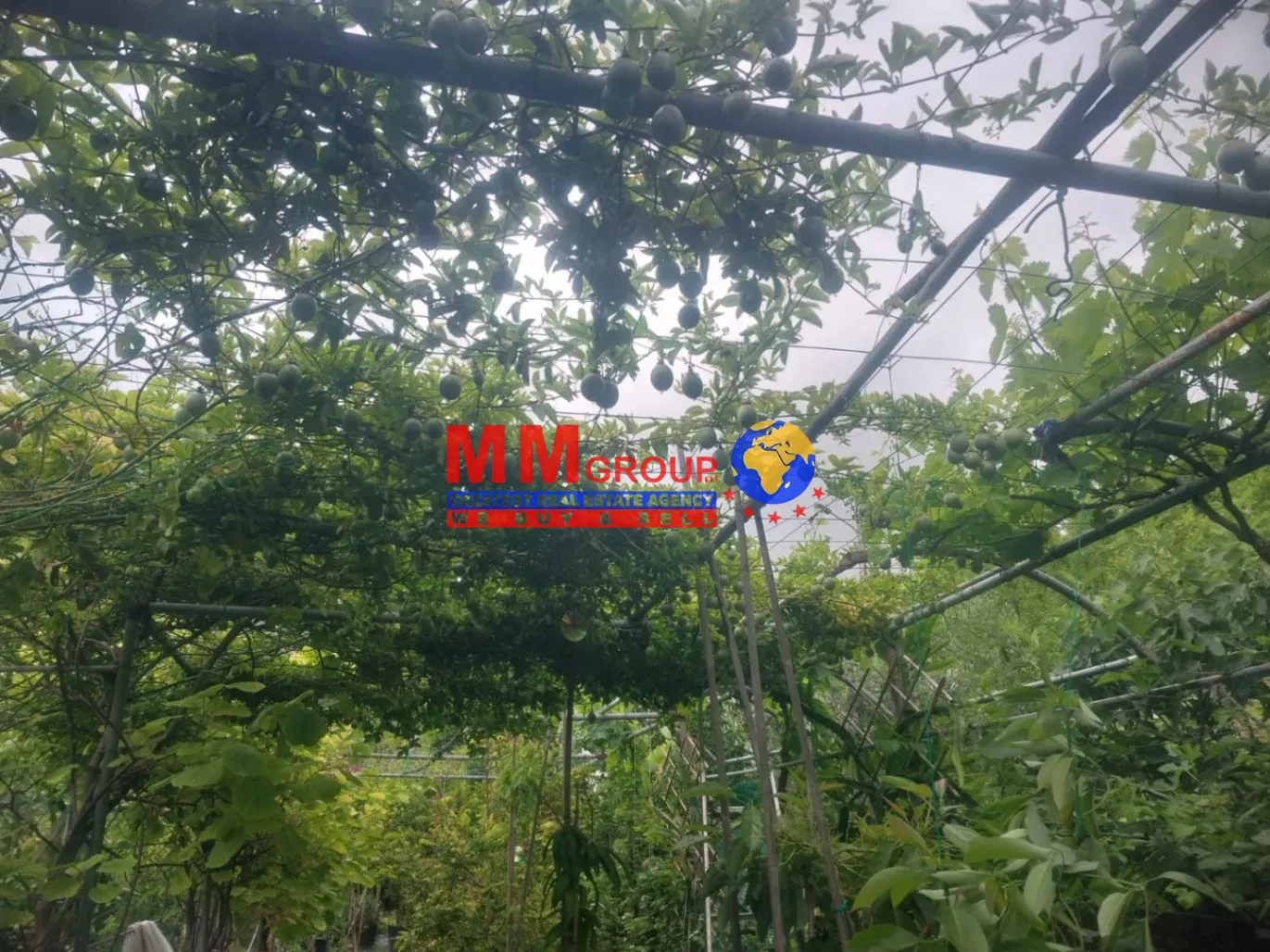Agricultural Land for sale in Mazraat El Nahr, Lebanon