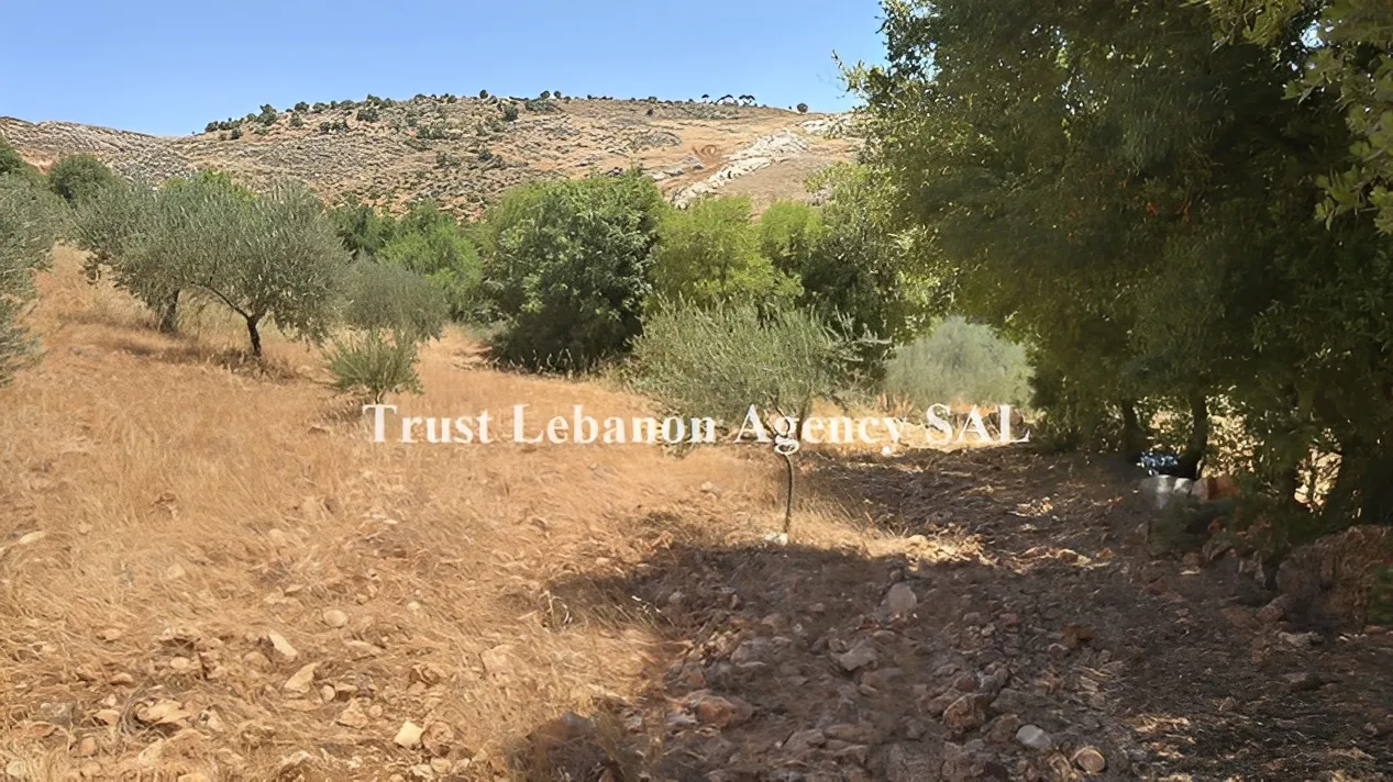 Land for Sale in Rashaya, Kawkaba