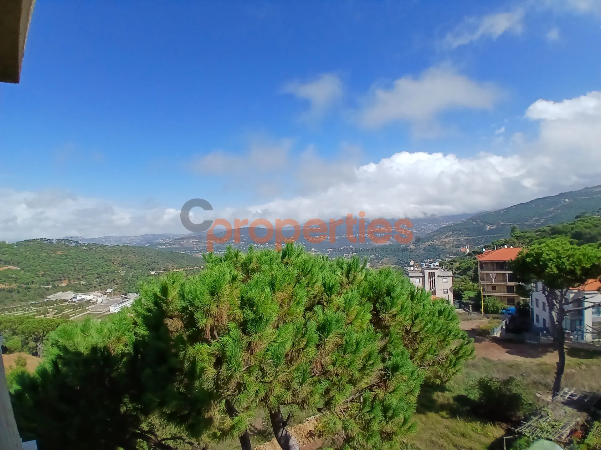 Apartment for Rent in Bolonia