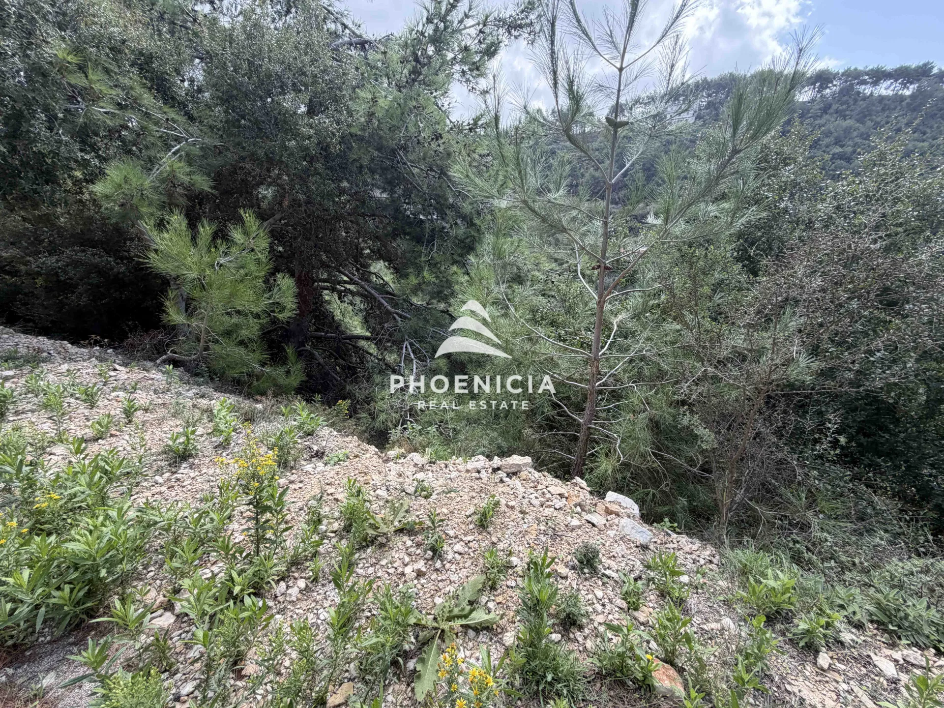 Residential Land for sale in Maaysrah