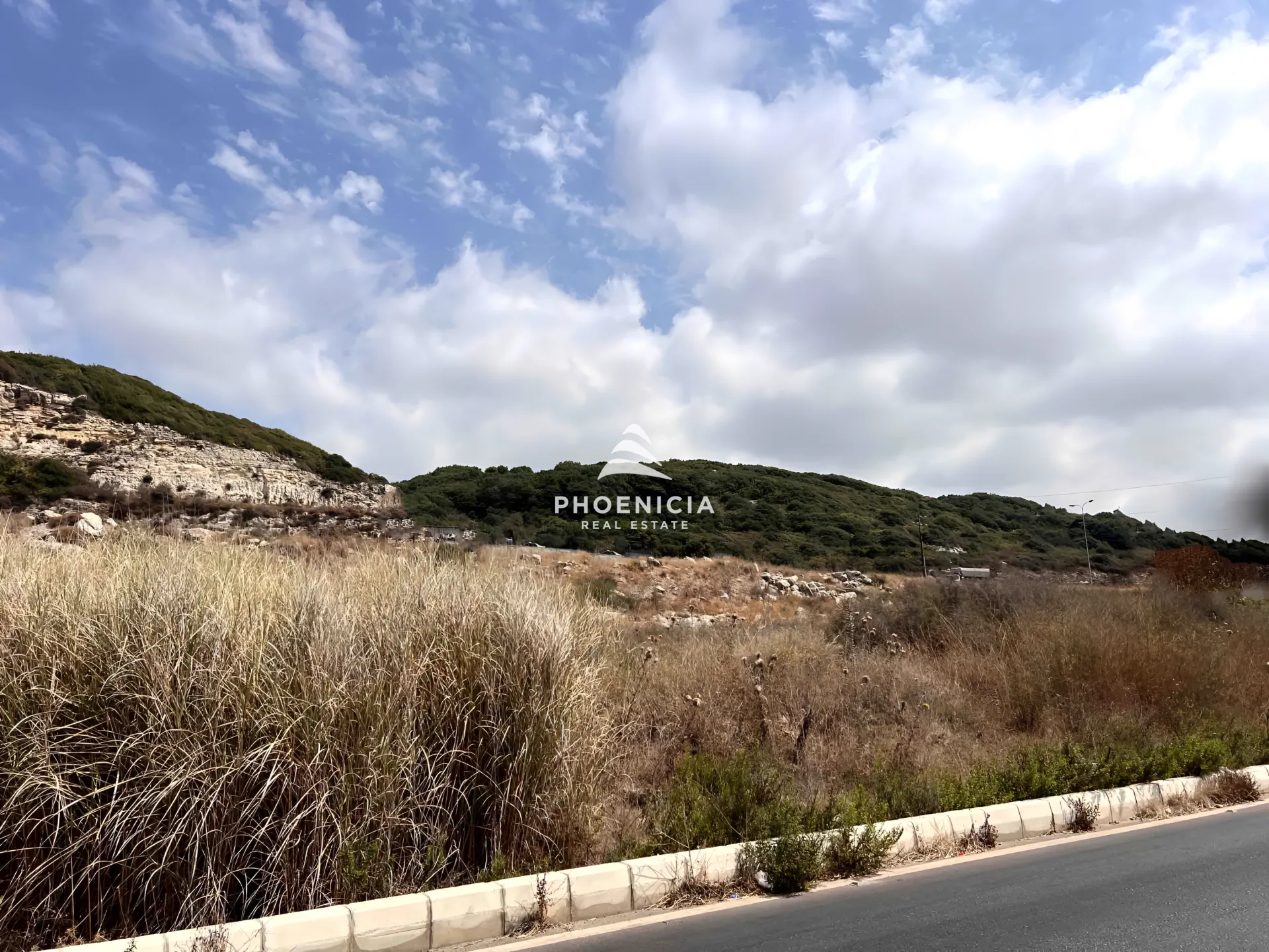 Land for Sale in Aamchit