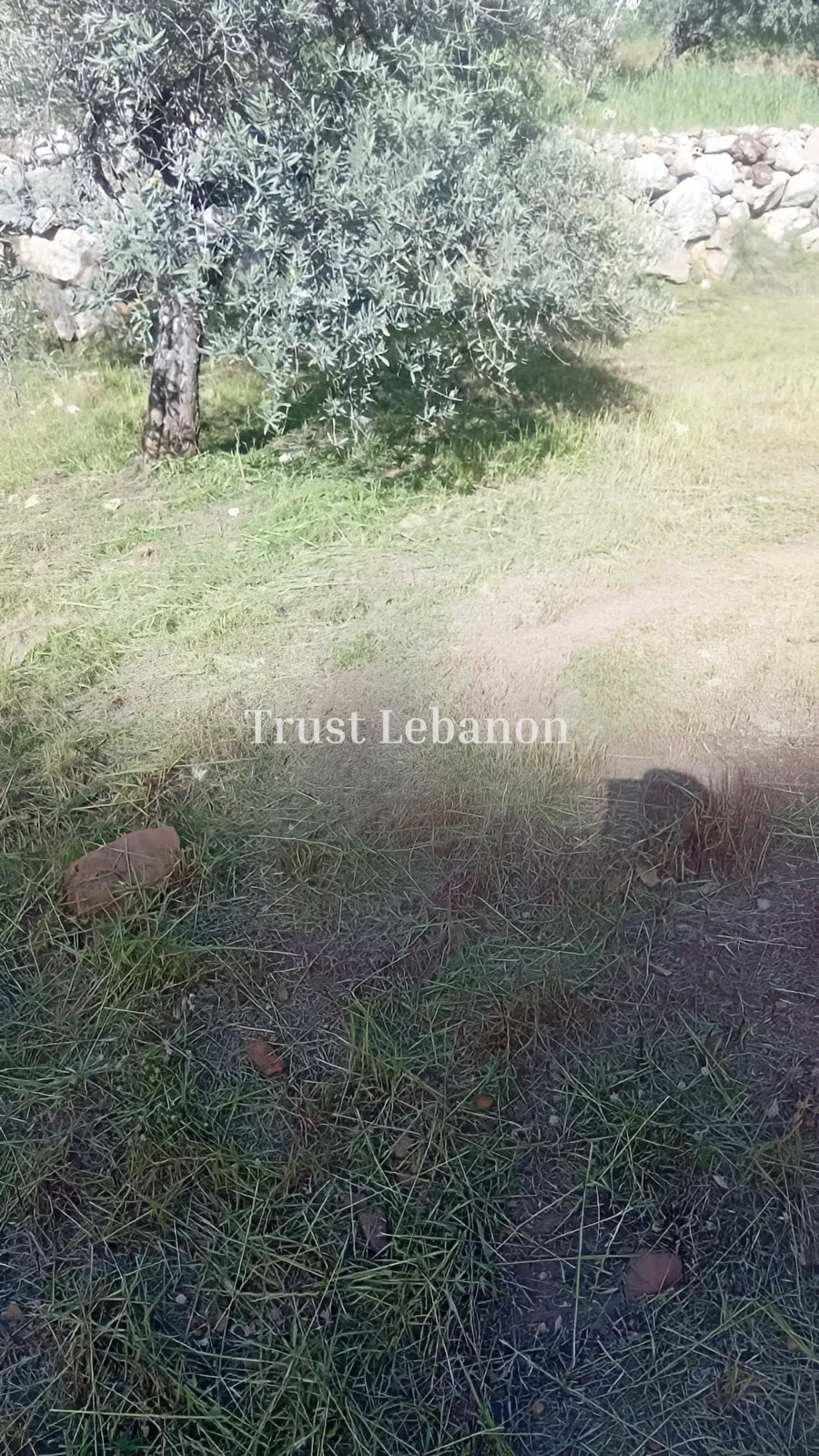 Agricultural Land for sale in Kfeir, Lebanon