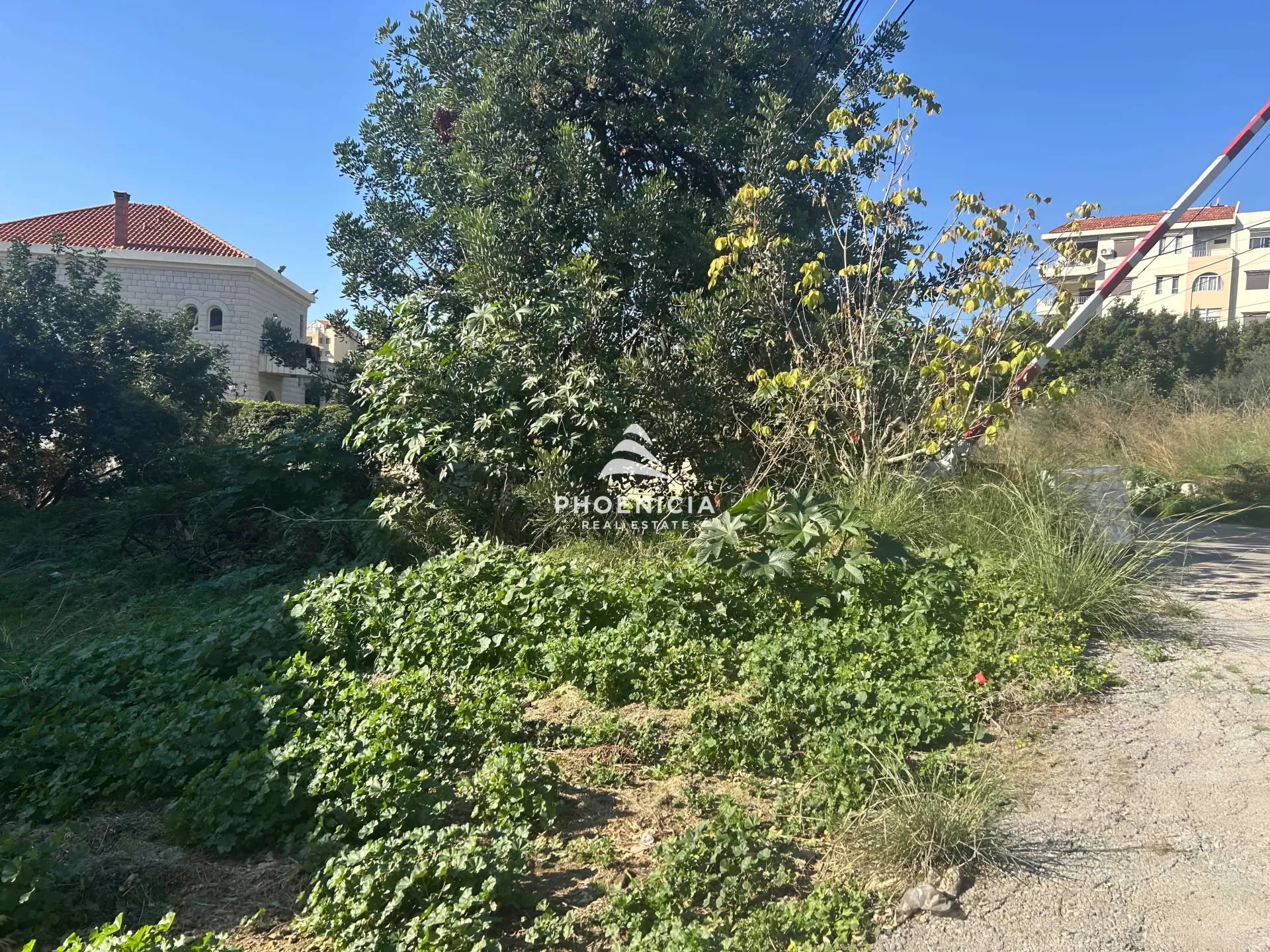 Land for Sale in Habboub