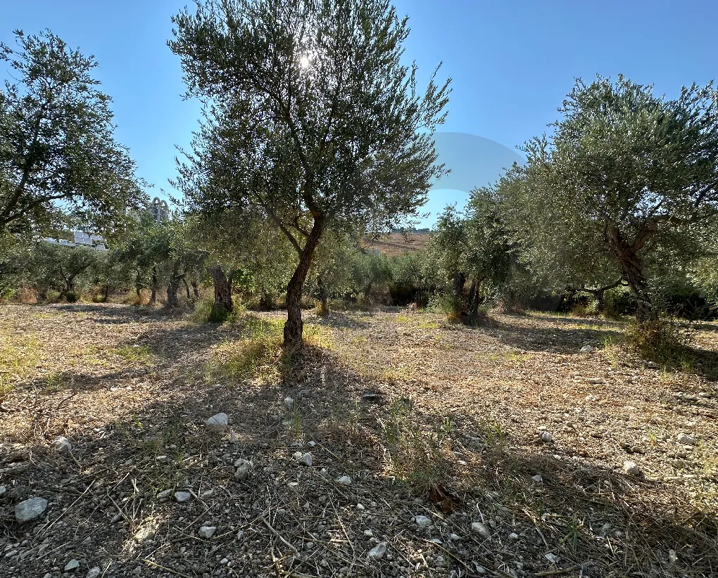 Land for Sale in Batroun