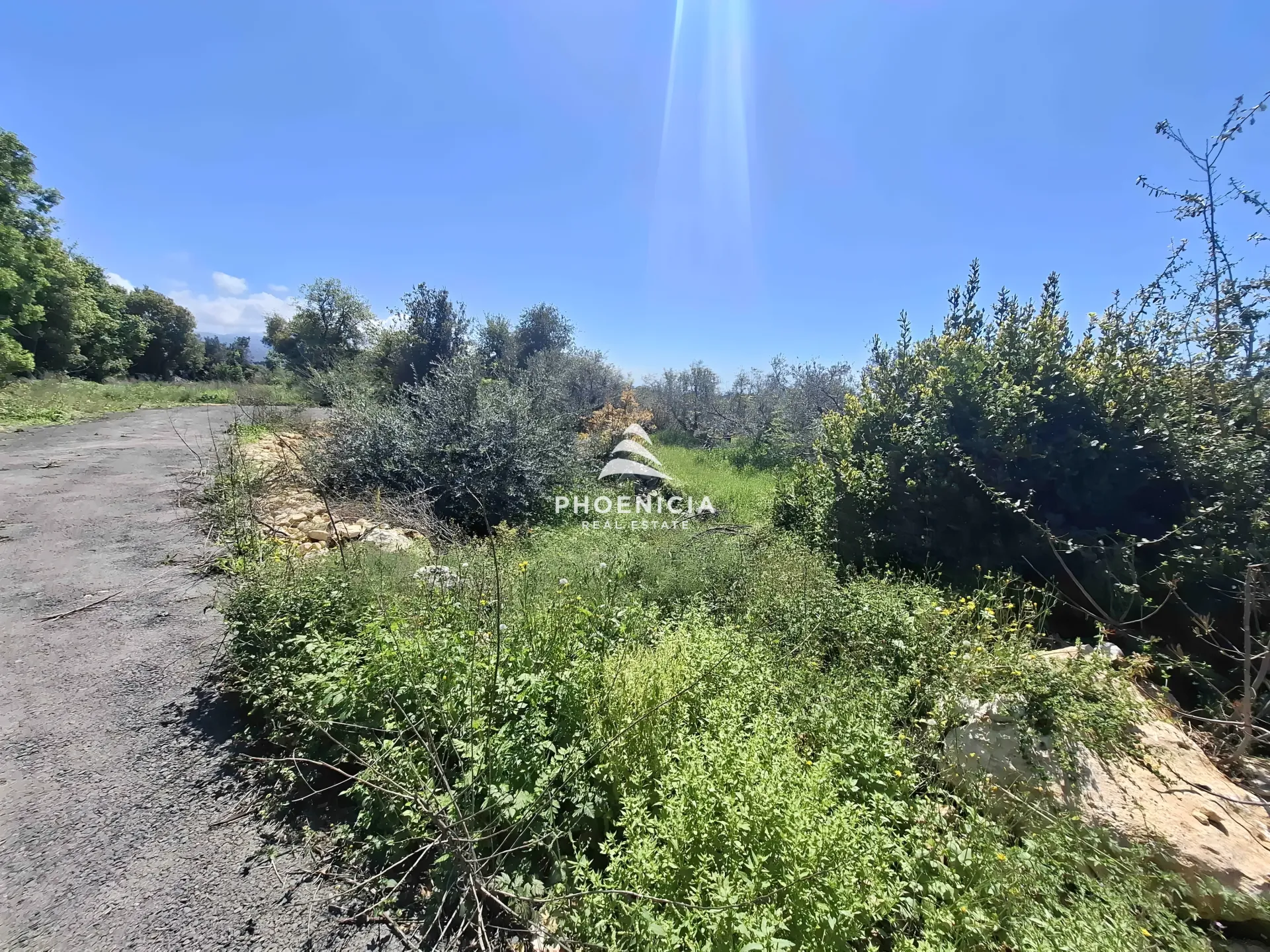 Land for Sale in Monsef