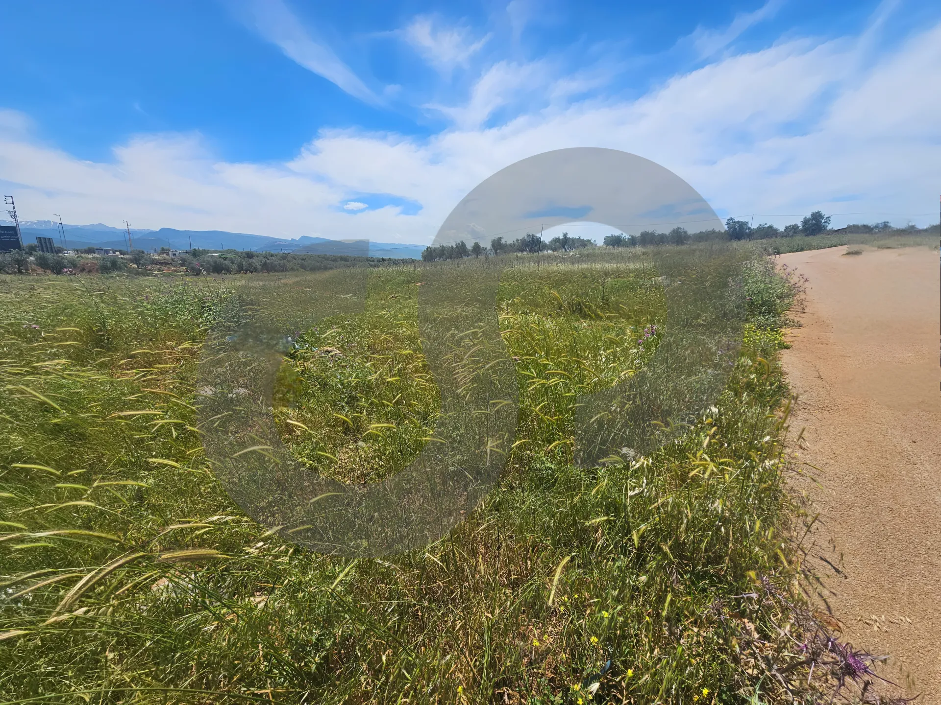 Land for Sale in Koura