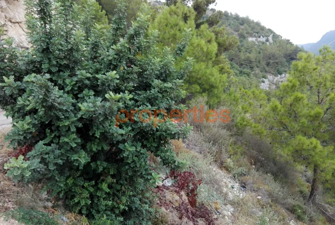Residential Land for Sale in Blat