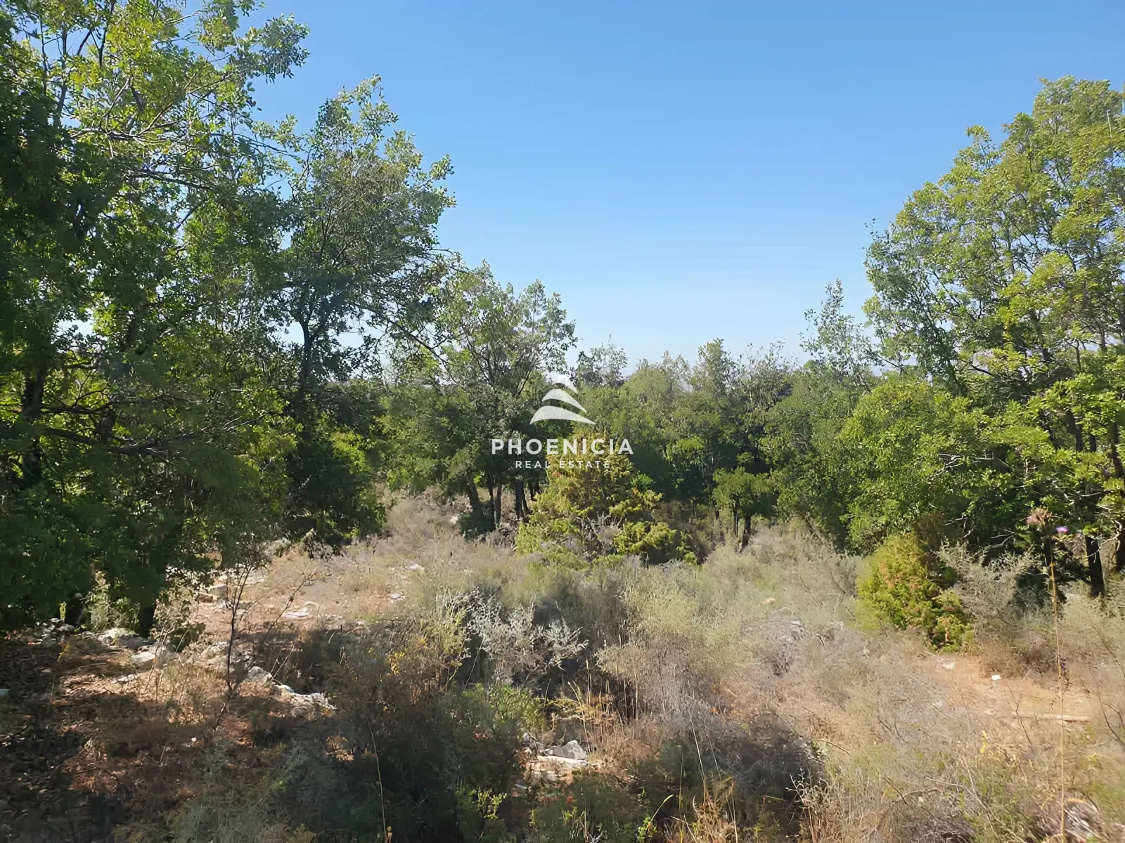 Land for Sale in Mechmech