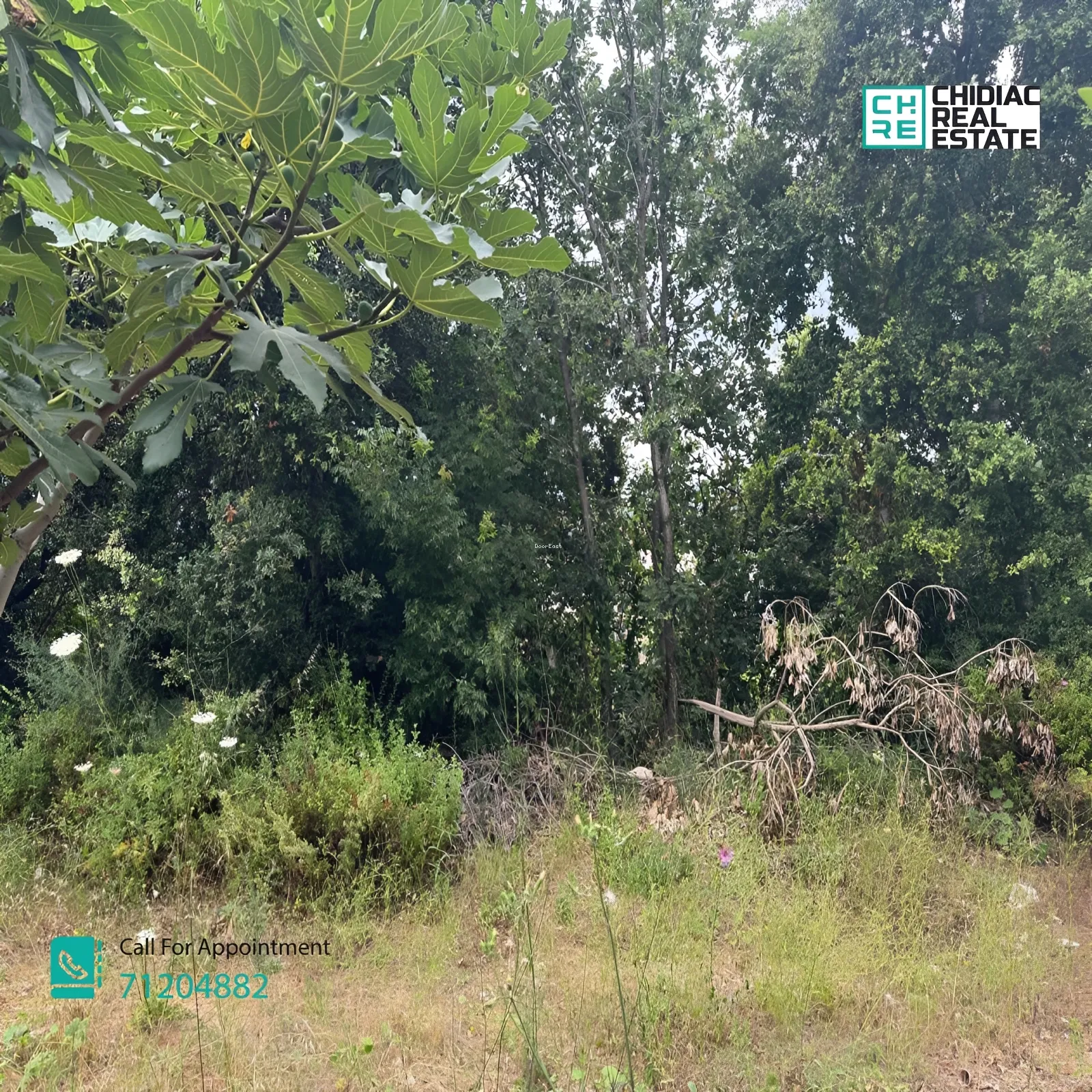 Land for sale in Fatqa, lebanon
