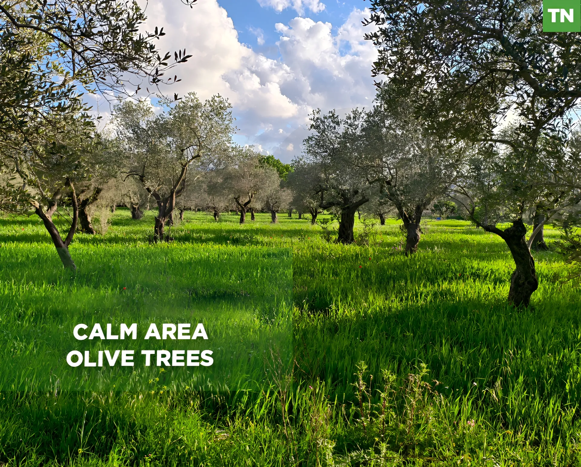 Land for Sale in Koura