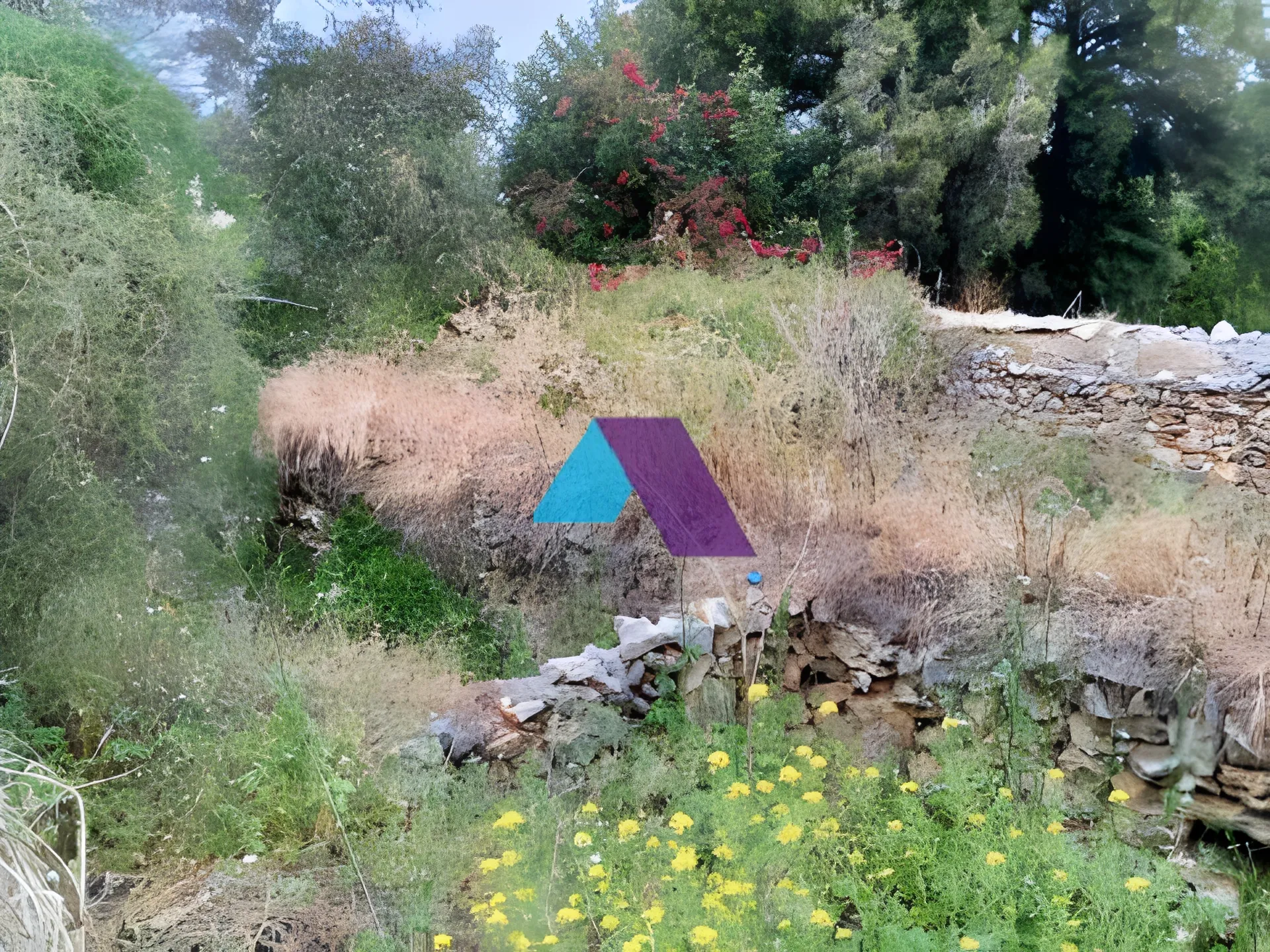Land for Sale in Batroun