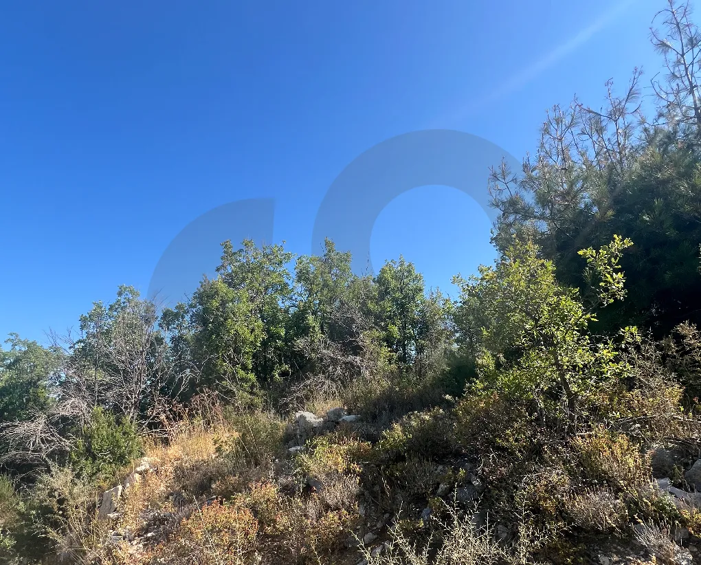 Land for Sale in Mechmech