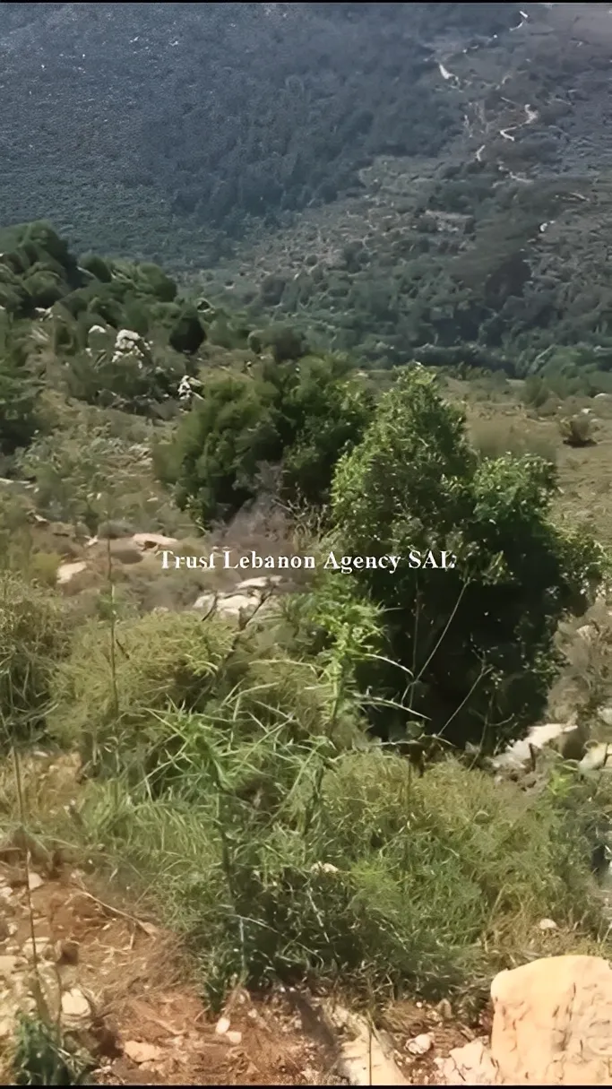 Land for Sale in Jezzine