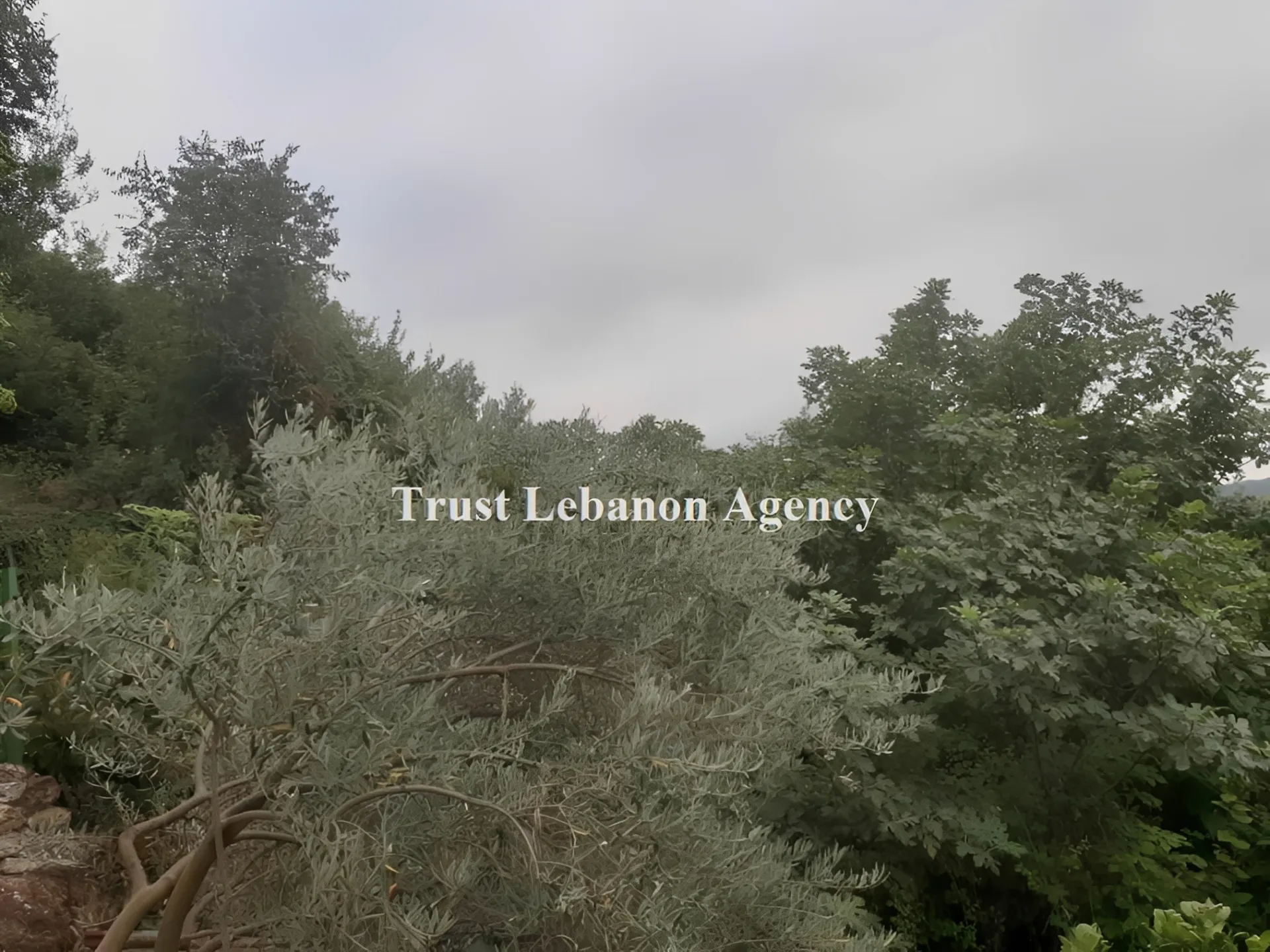 Land for Sale in Jezzine