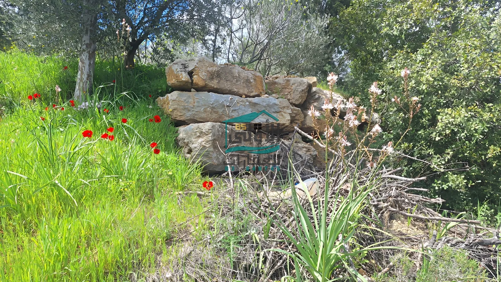 Land for sale in مزرعة الشوف، lebanon
