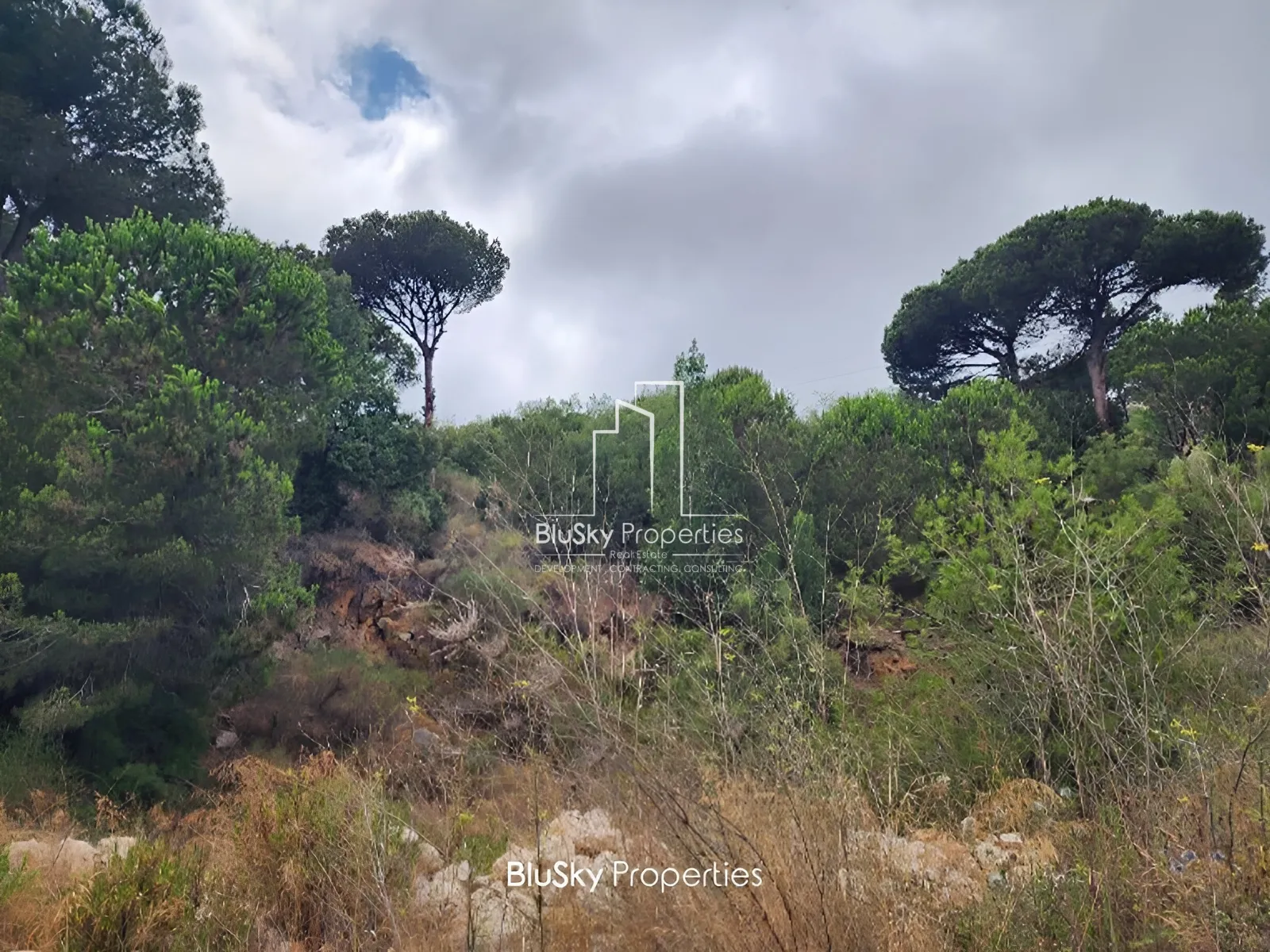 Land for Sale in Beit Meri