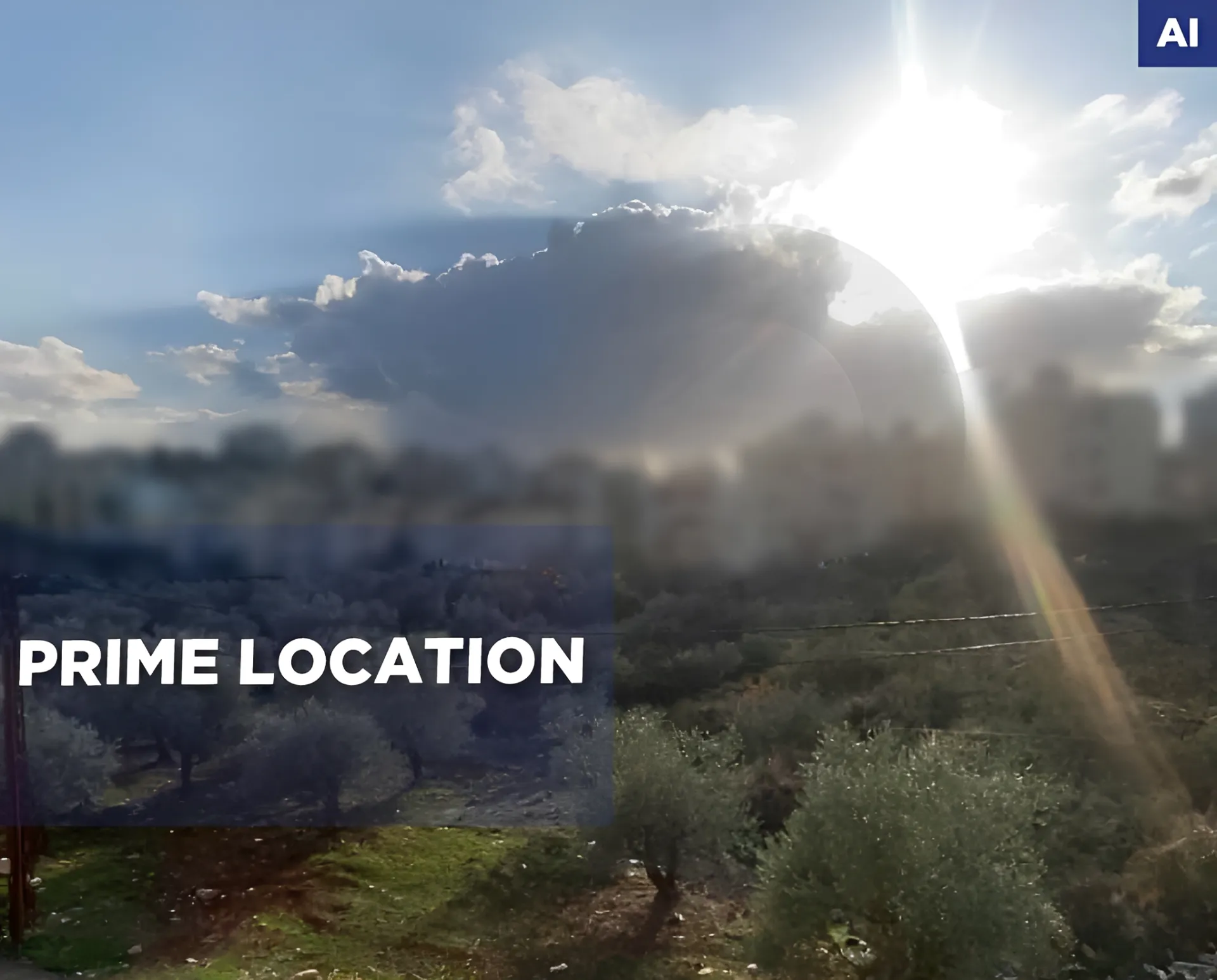 Apartment for Rent in Nakhleh