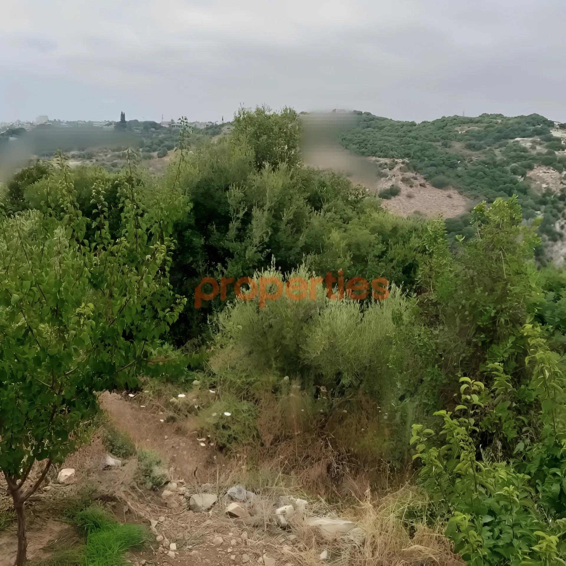 Land for Sale in Habboub