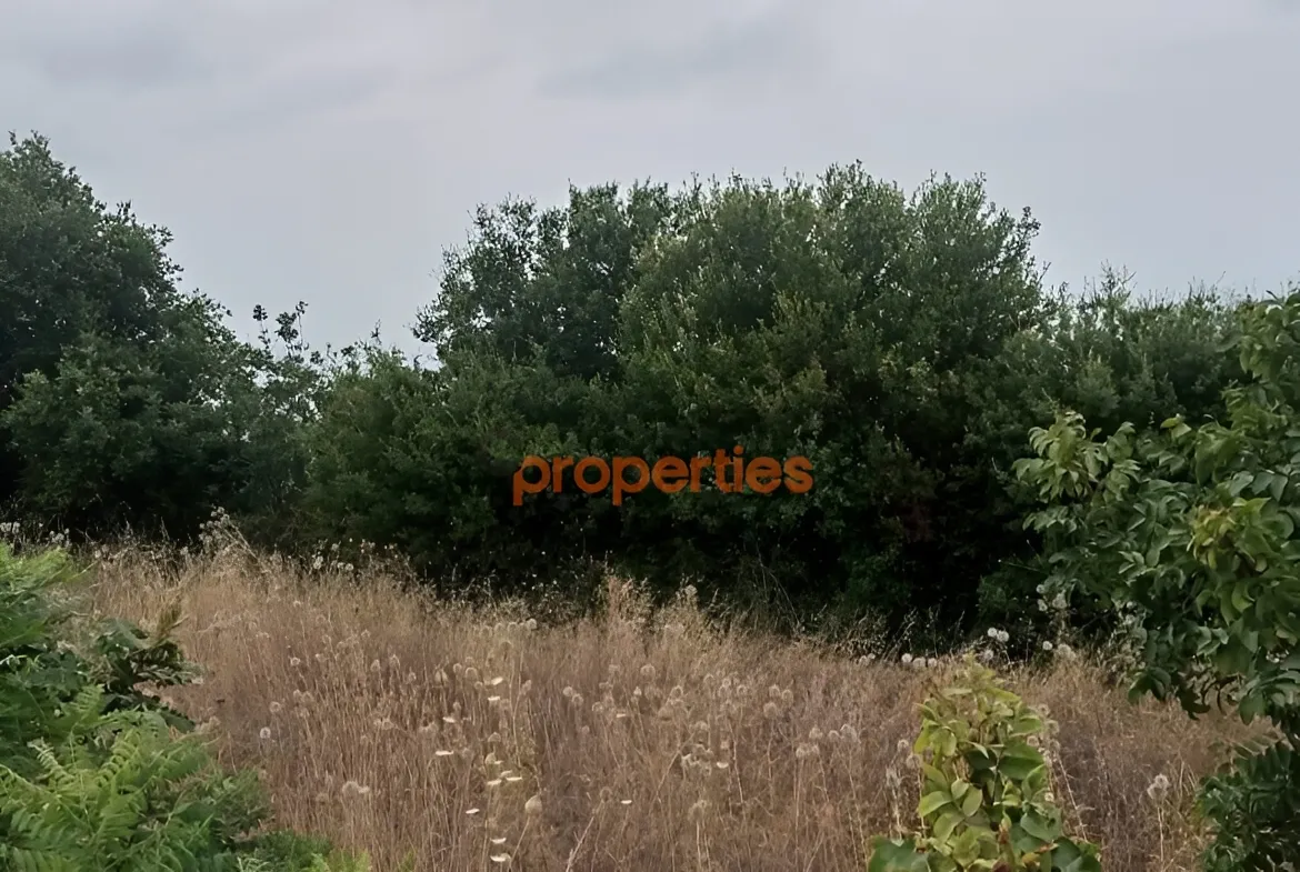Land for Sale in Edde