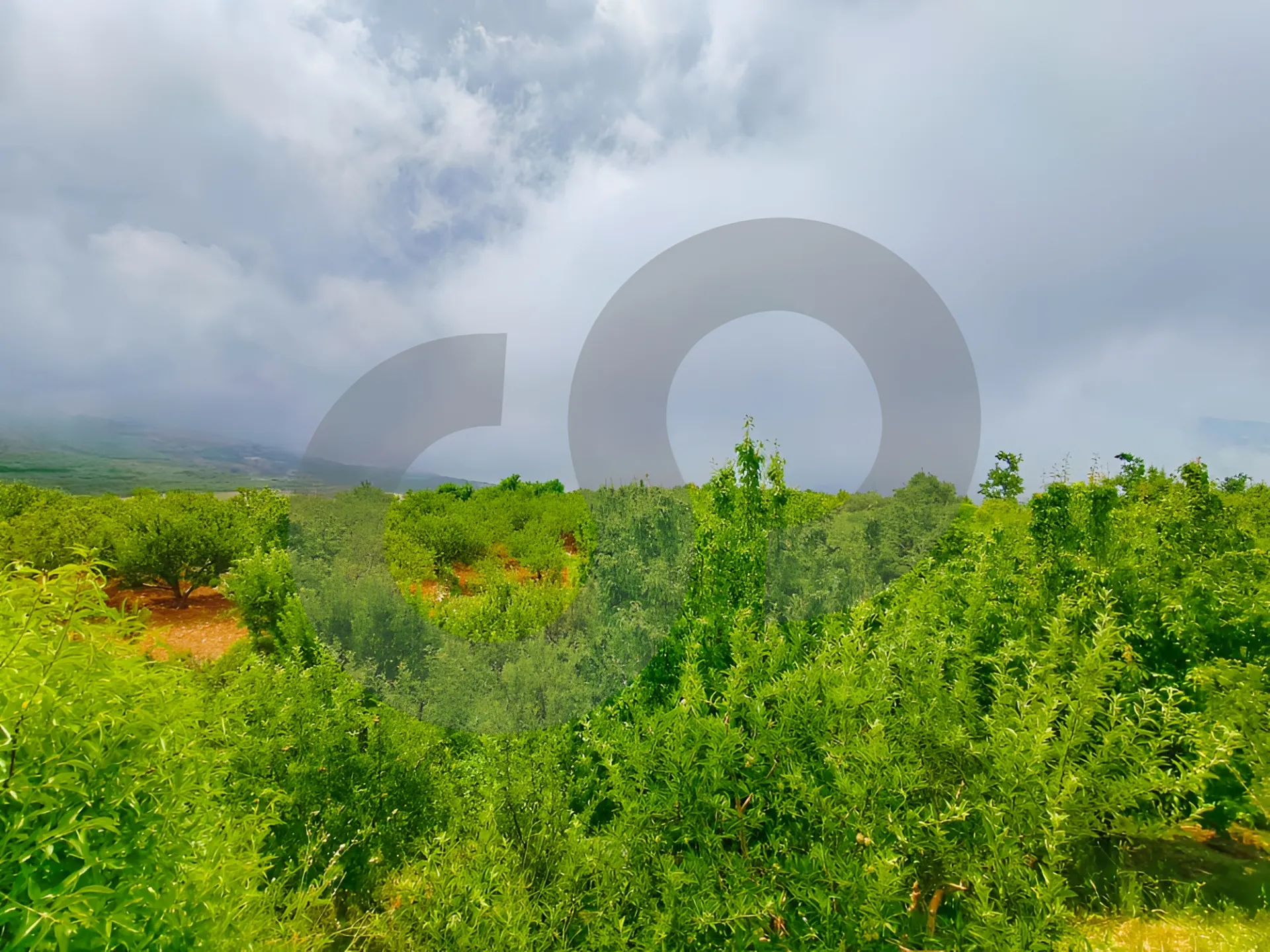 Land for Sale in Ehden