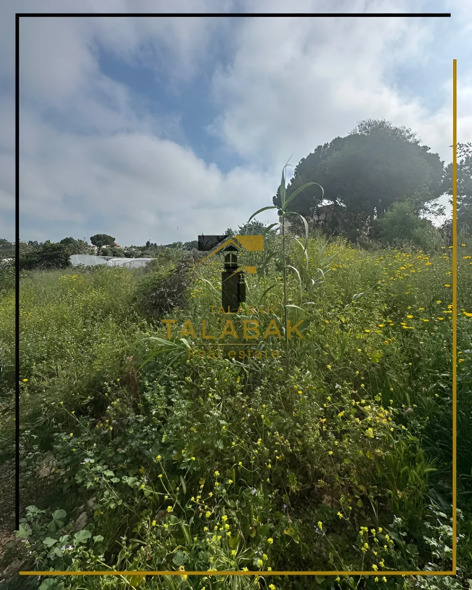 Residential Land for sale in Edde, Lebanon