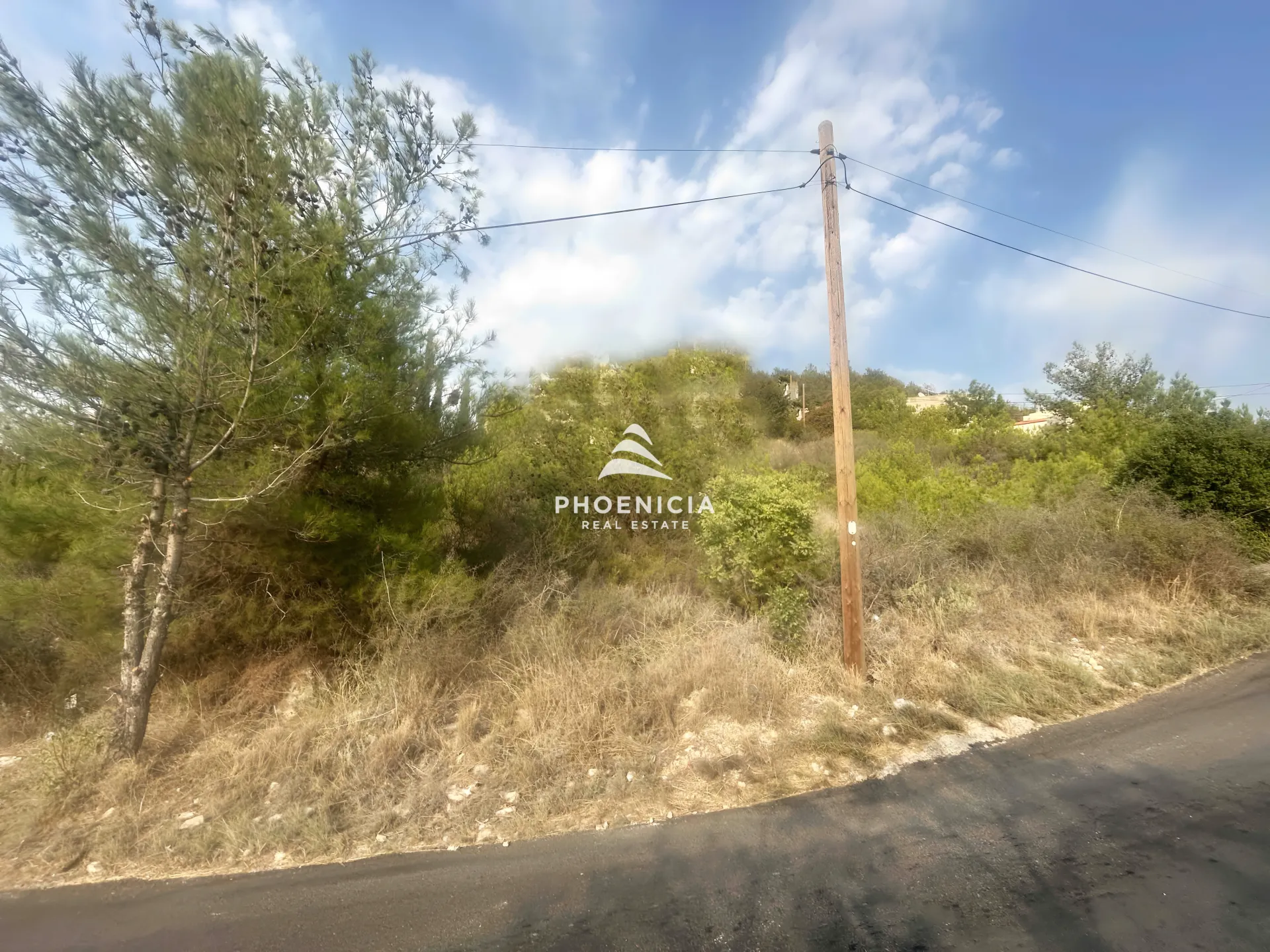 Land for Sale in Blat