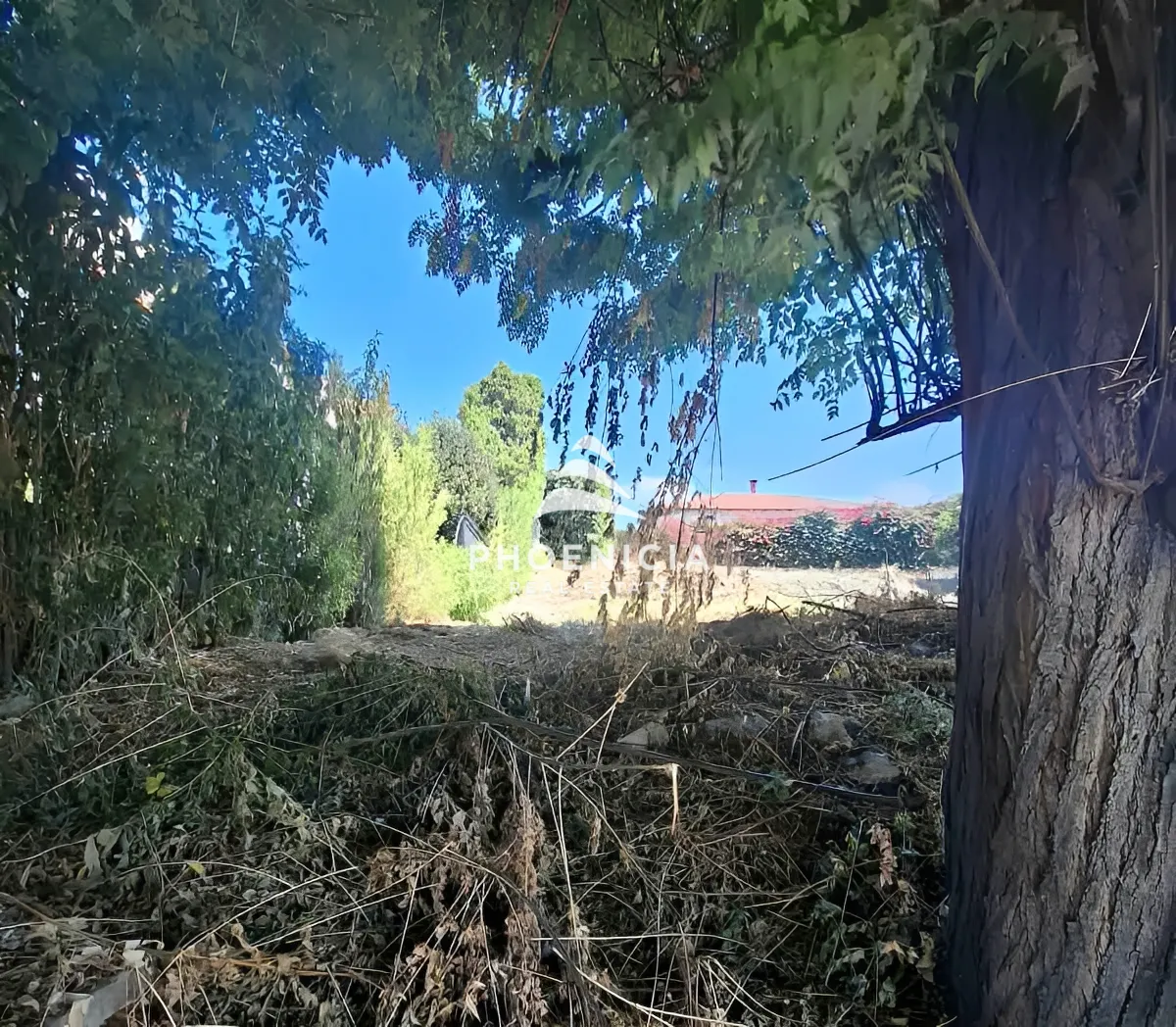 Residential Land for sale in Edde