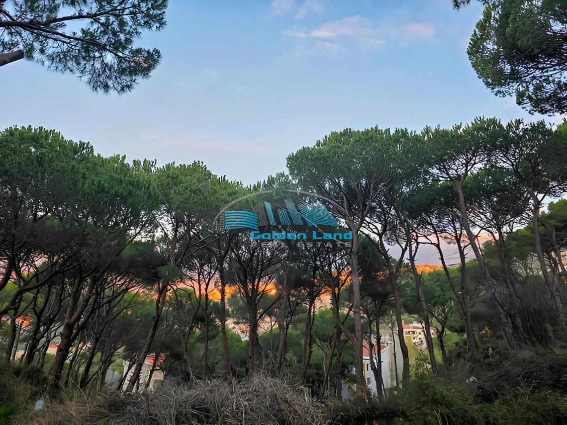 Land for Sale in Beit Chabeb, Lebanon