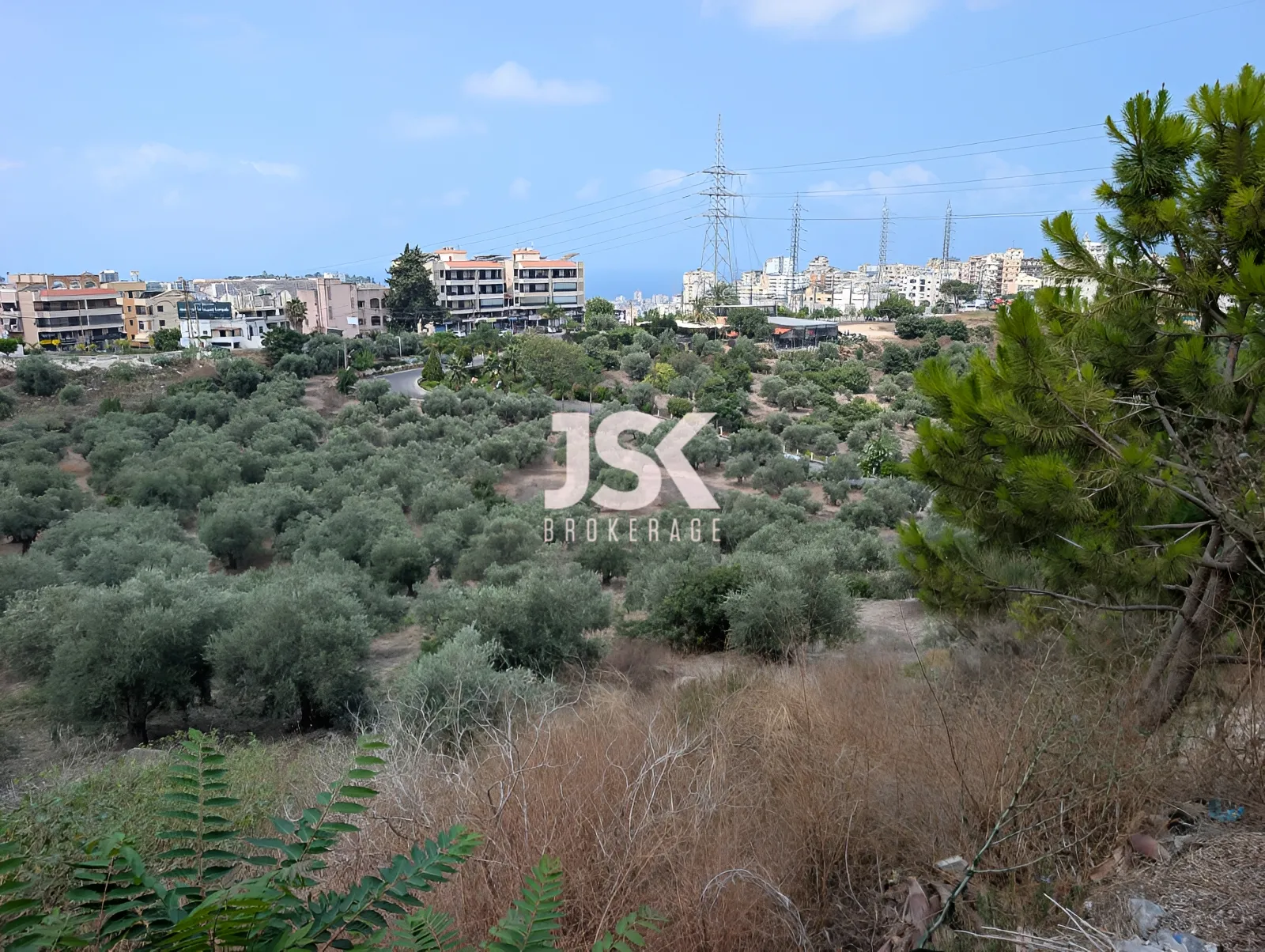 Land for Sale in Sidon