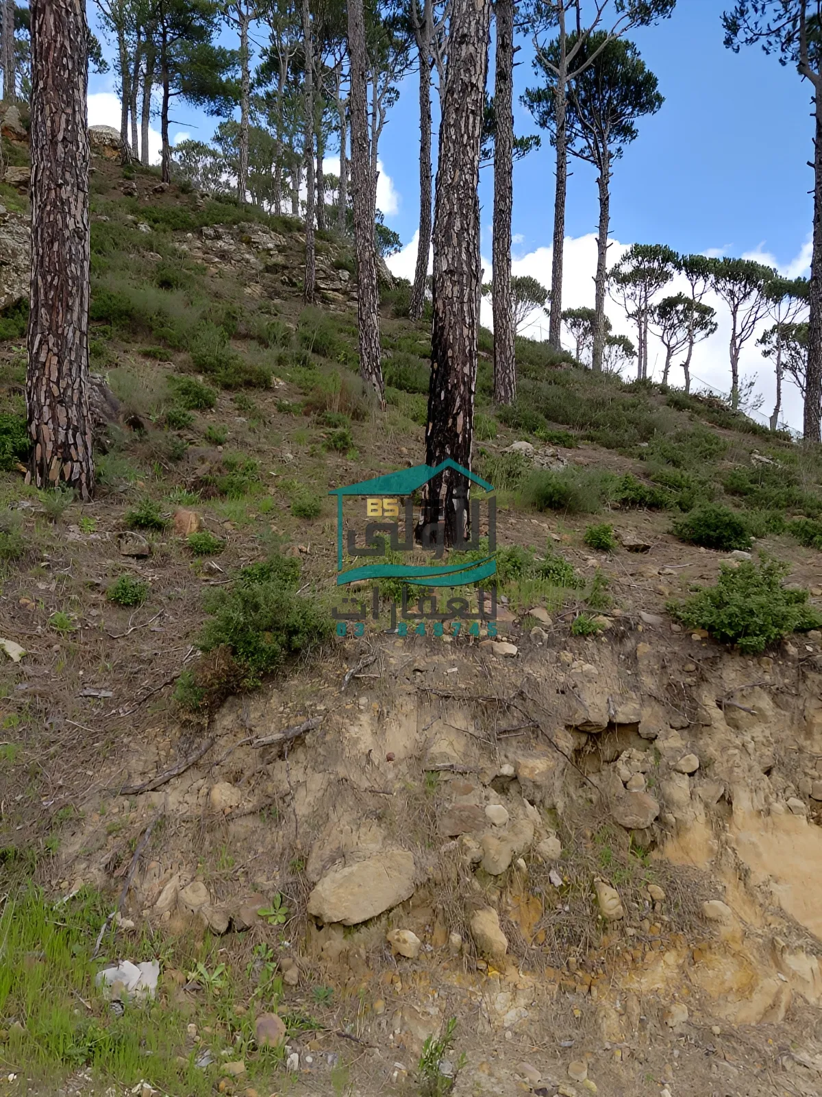 Land for sale in Bmahray, lebanon