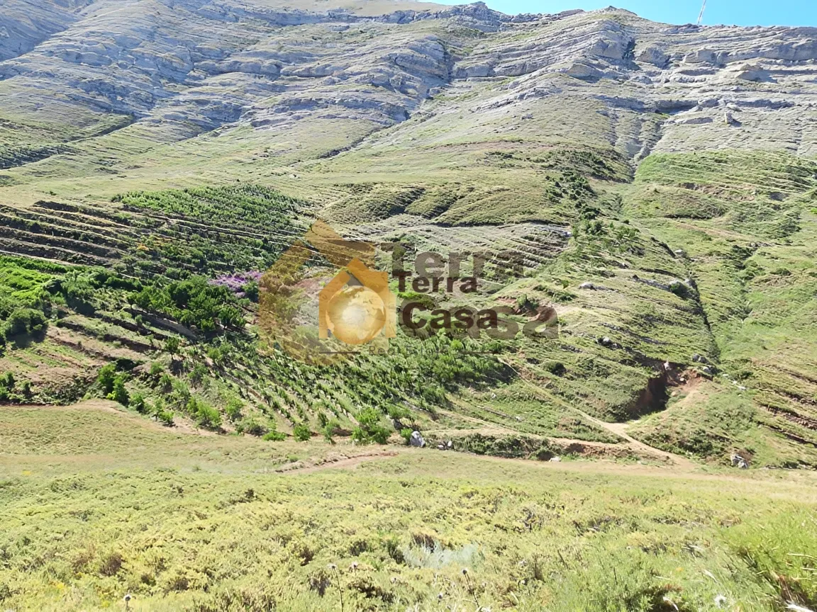 Land for Sale in Tannourine Batroun North