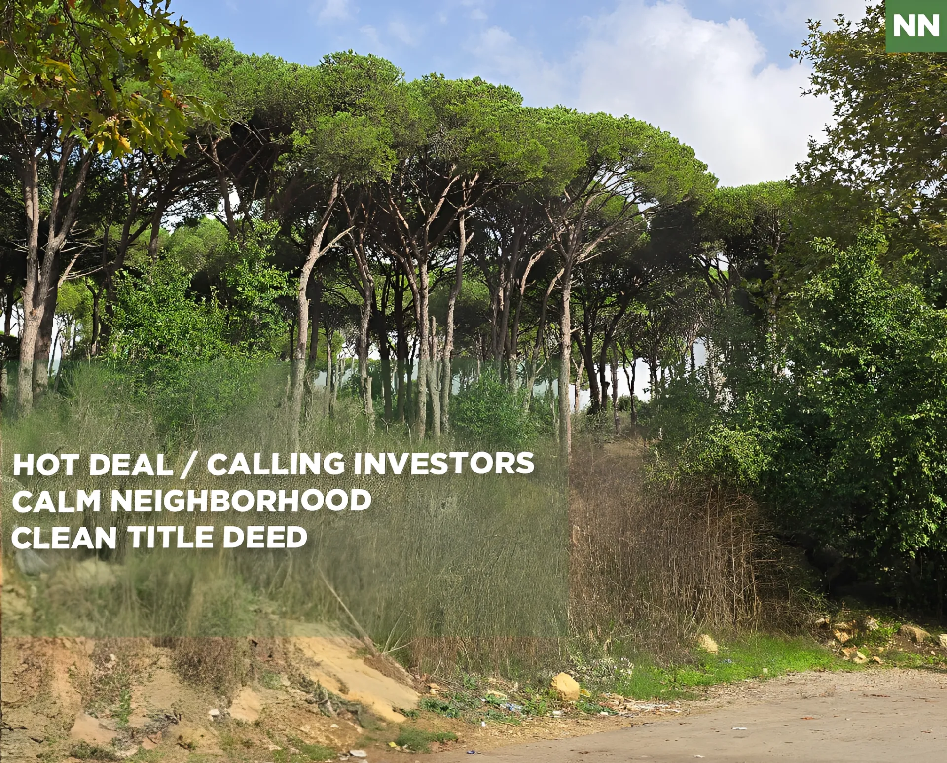 Land for Sale in Aley