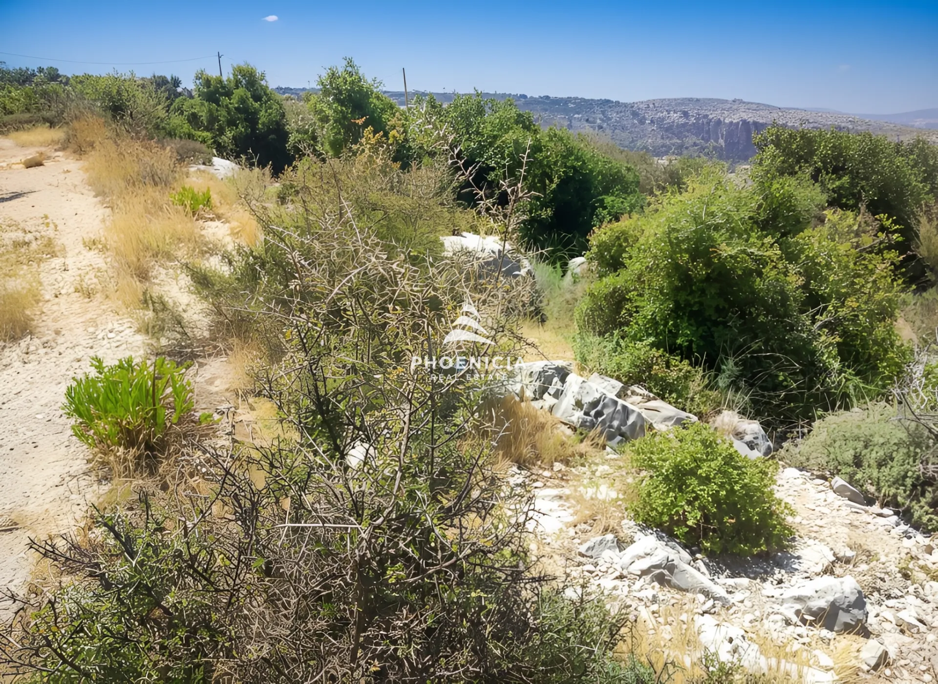 Land for Sale in Gharzouz