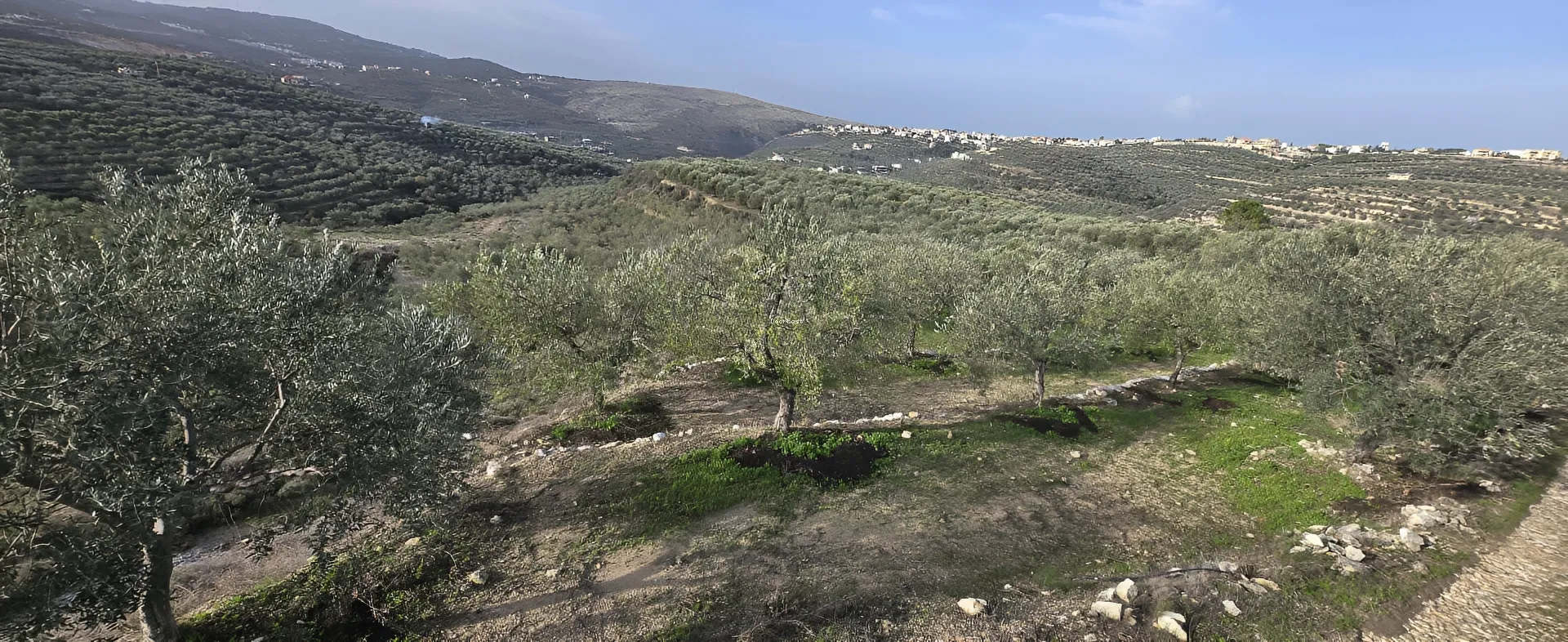 Land for sale in Bziza