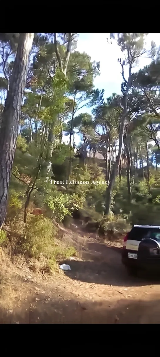 Land for Sale in Metn Bekfaya / Naas Lebanon