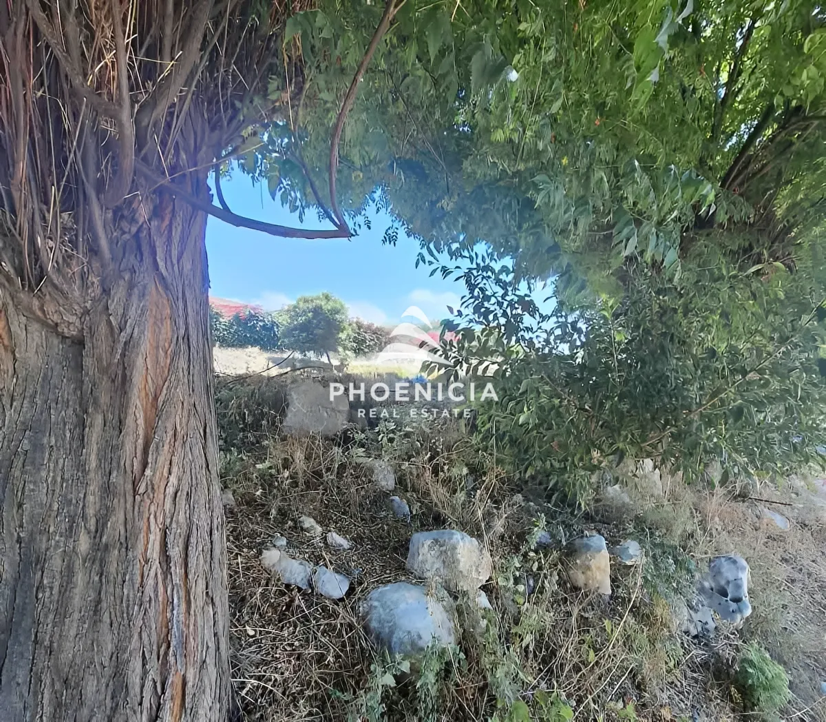 Residential Land for sale in Edde