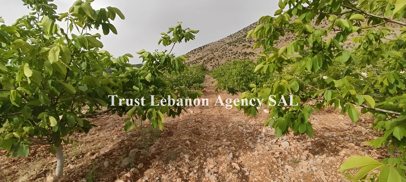 Land for Sale in Rashaya