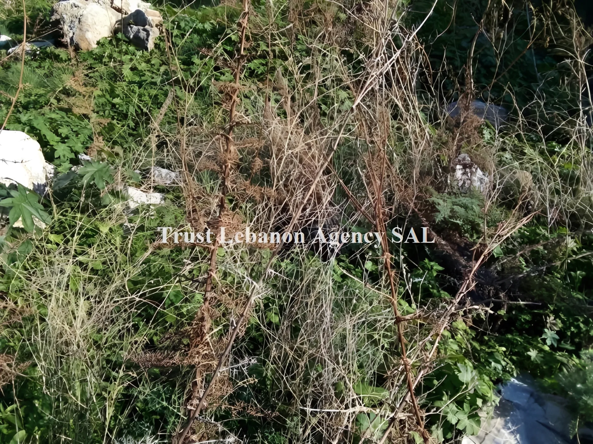Land for Sale in Alay, khaldeh