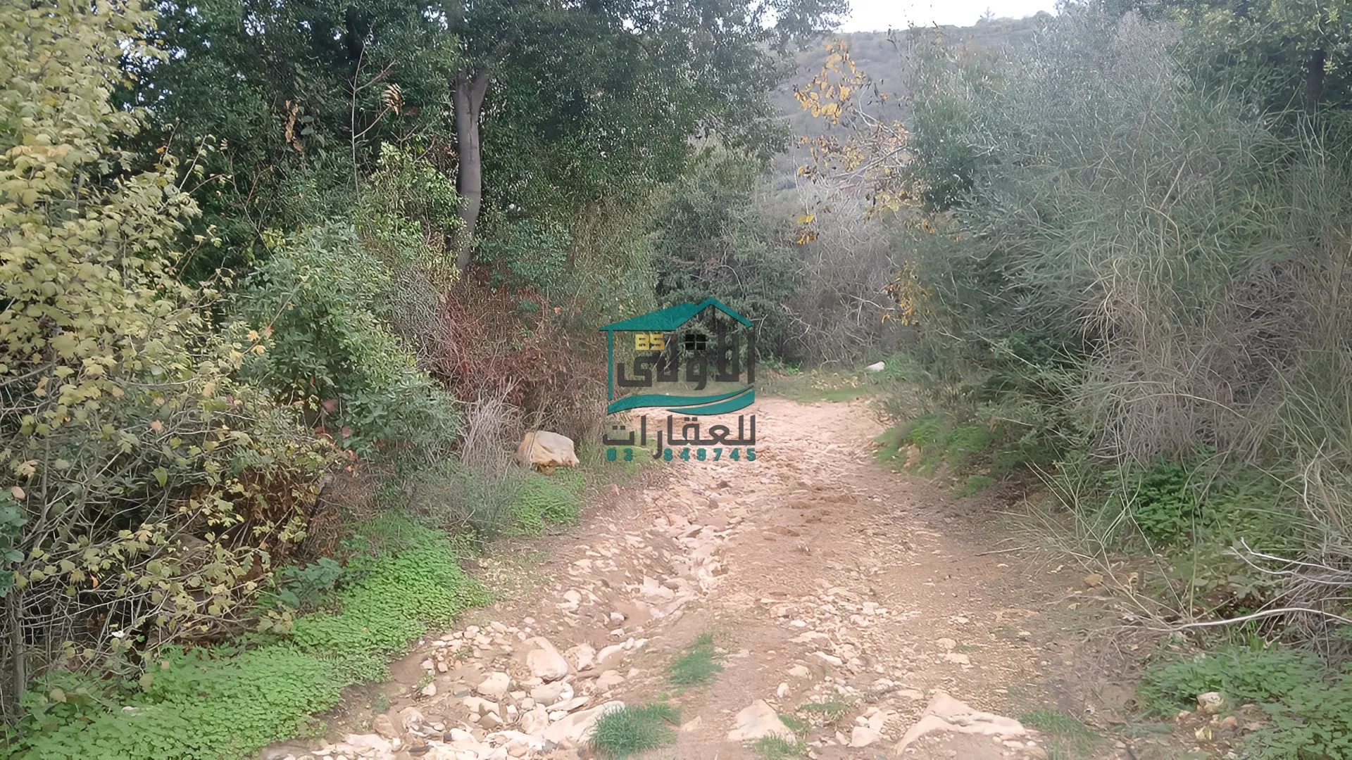 Land in Daqqoun, lebanon